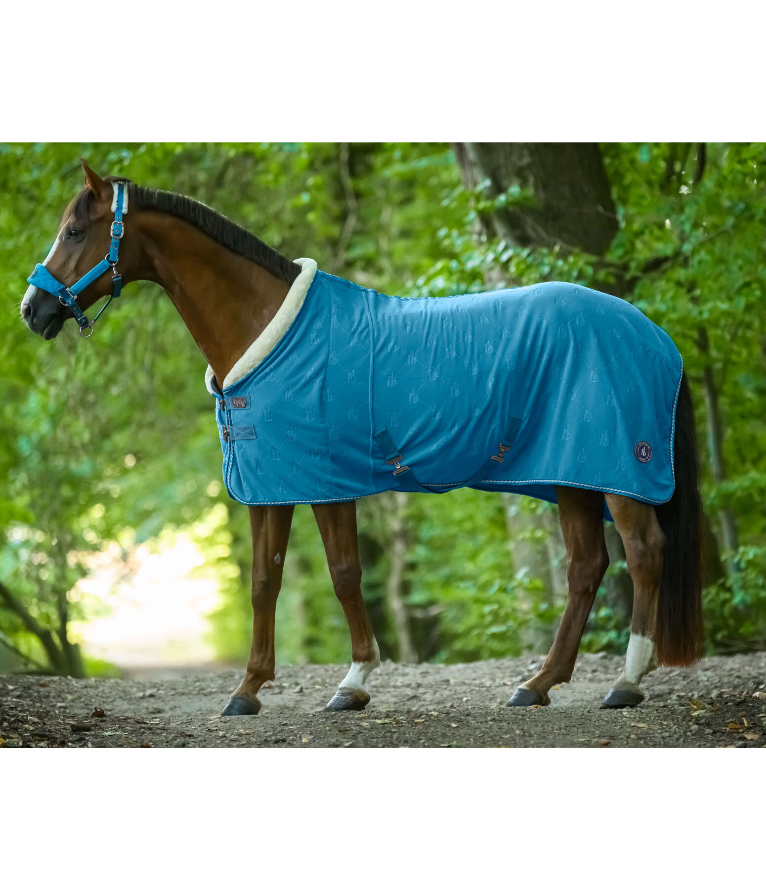 Fleece-Abschwitzdecke Equestrian Sports