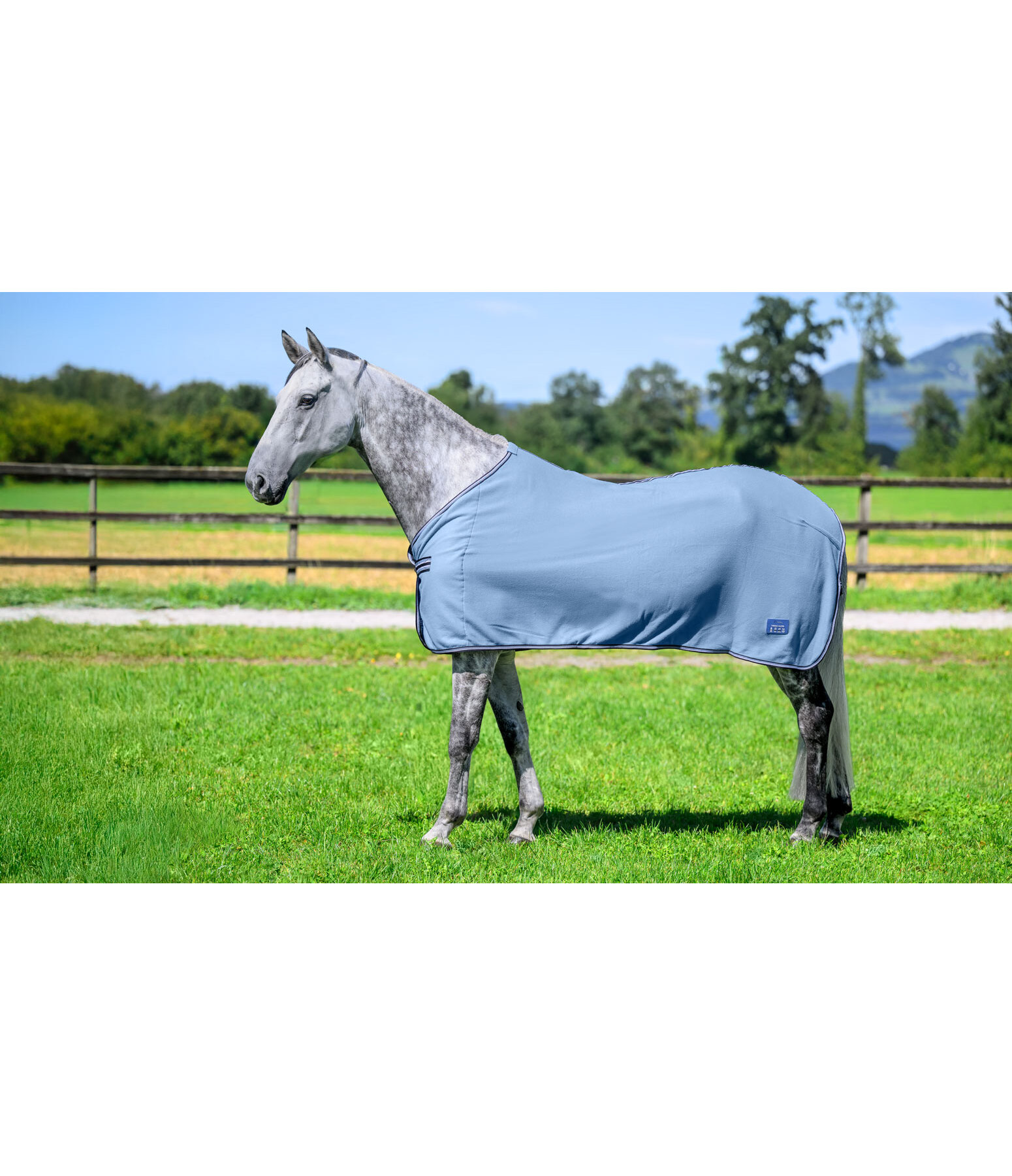 Fleecedecke Economic