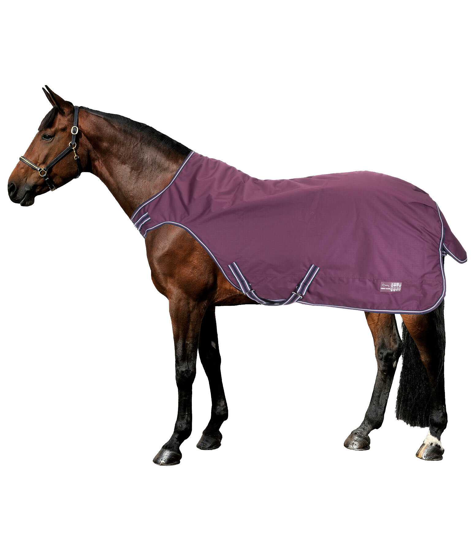 Outdoor-Walker Kasimo II, 100 g