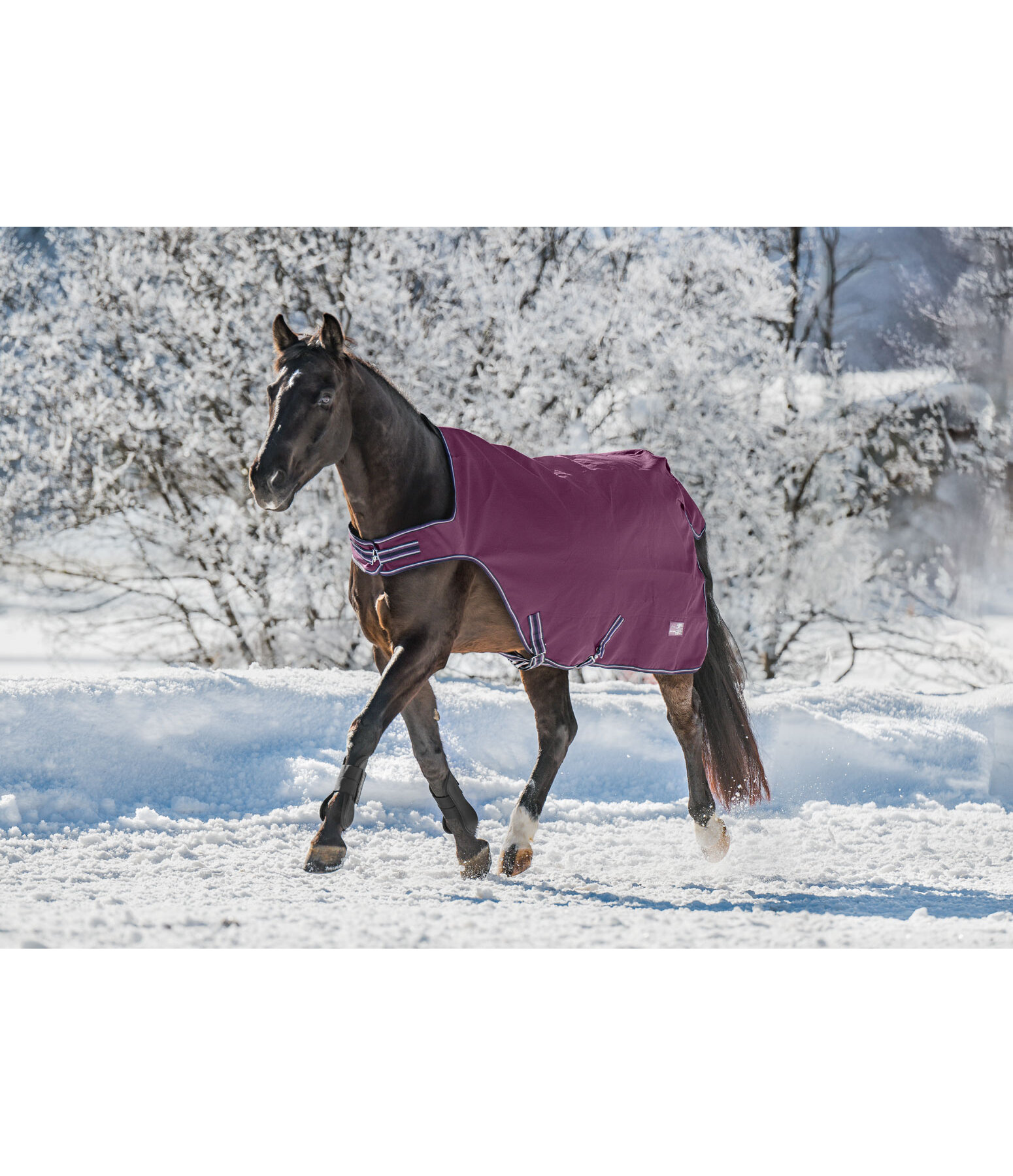 Outdoor-Walker Kasimo II, 100 g