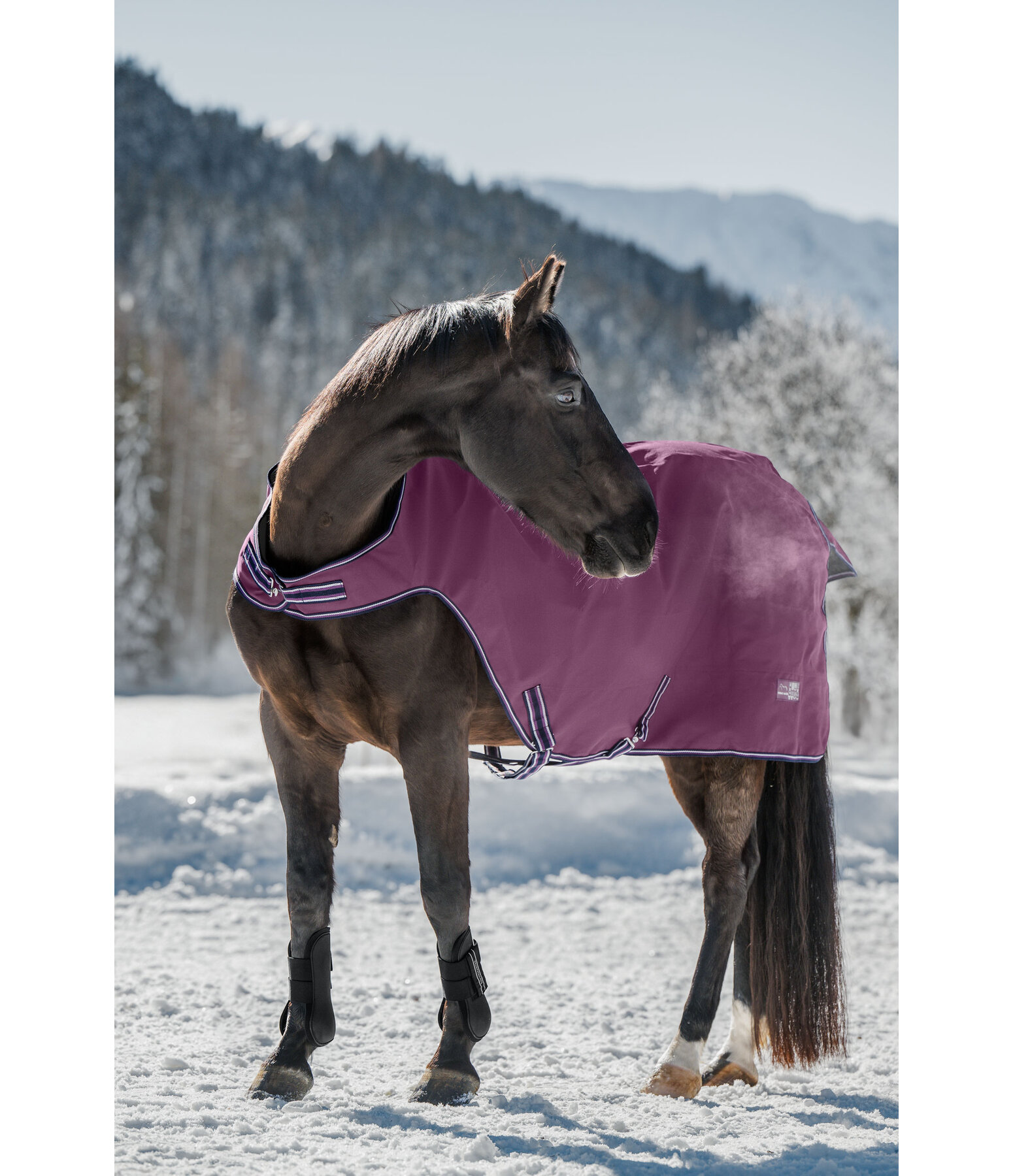 Outdoor-Walker Kasimo II, 100 g