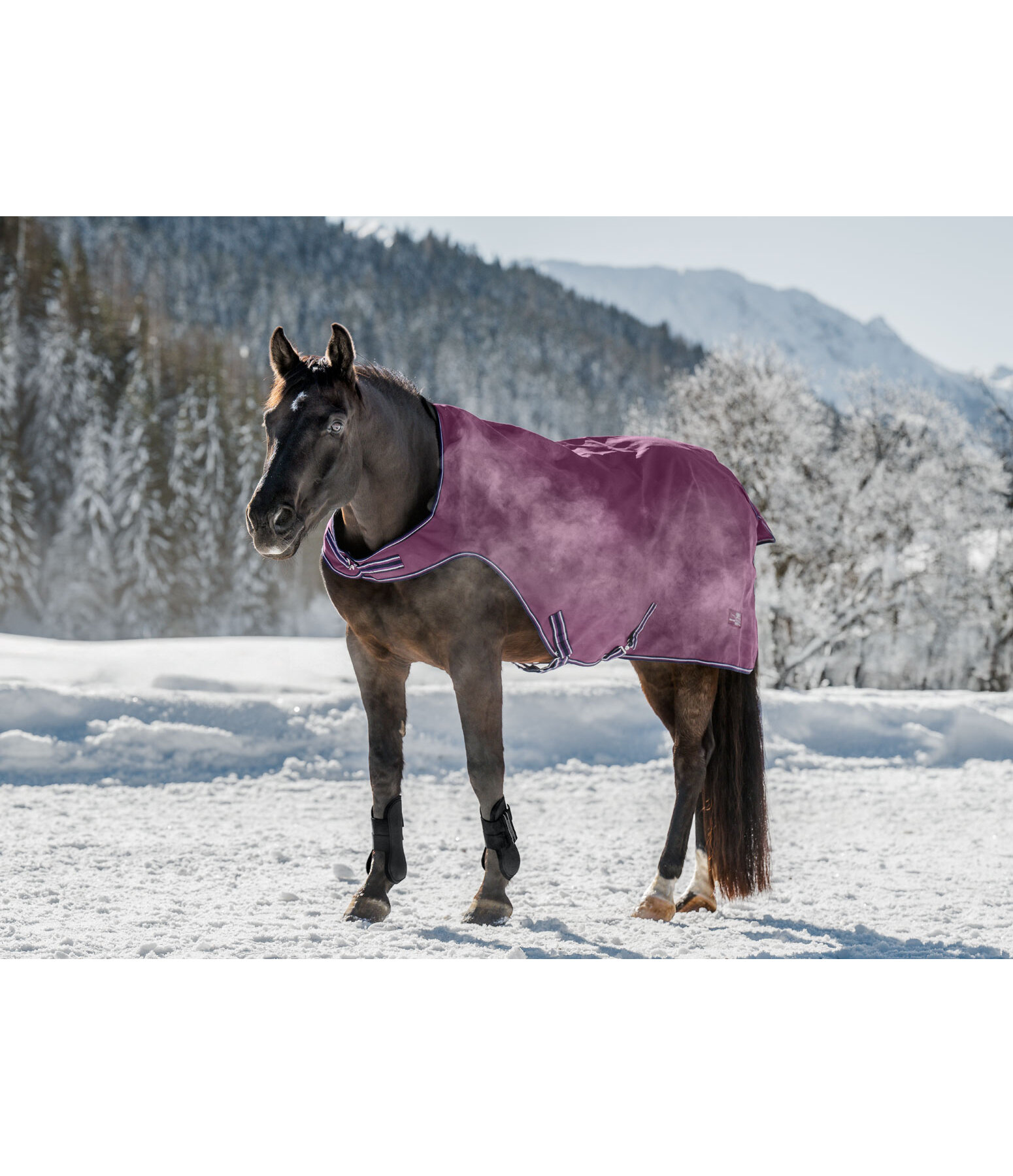 Outdoor-Walker Kasimo II, 100 g
