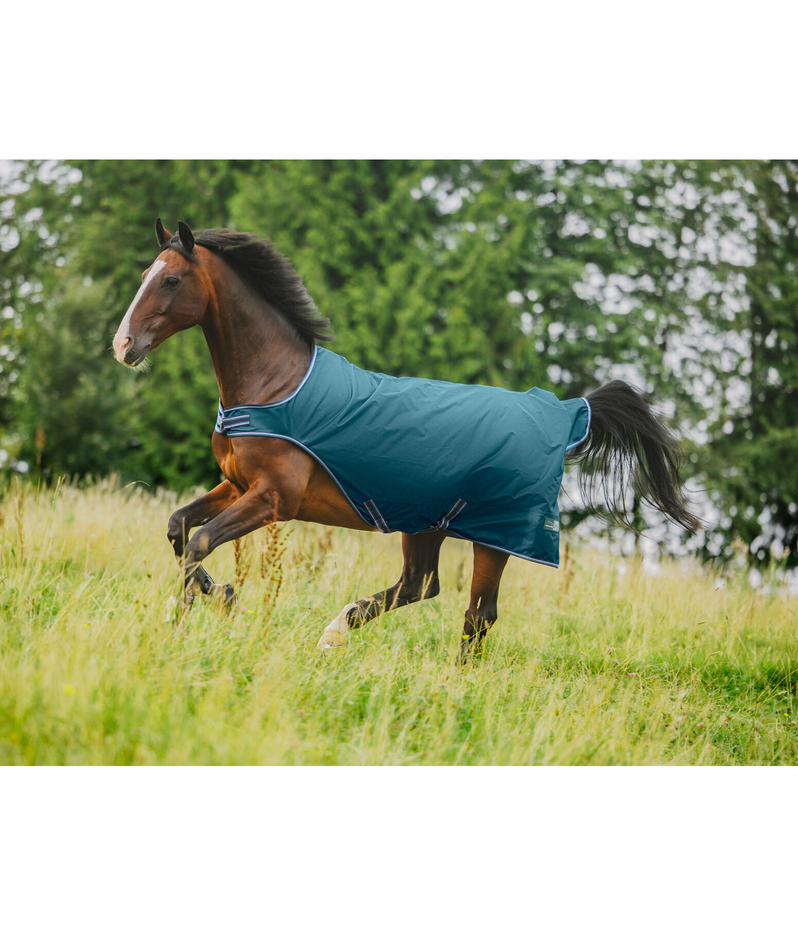 Outdoor-Walker Kasimo II, 100 g