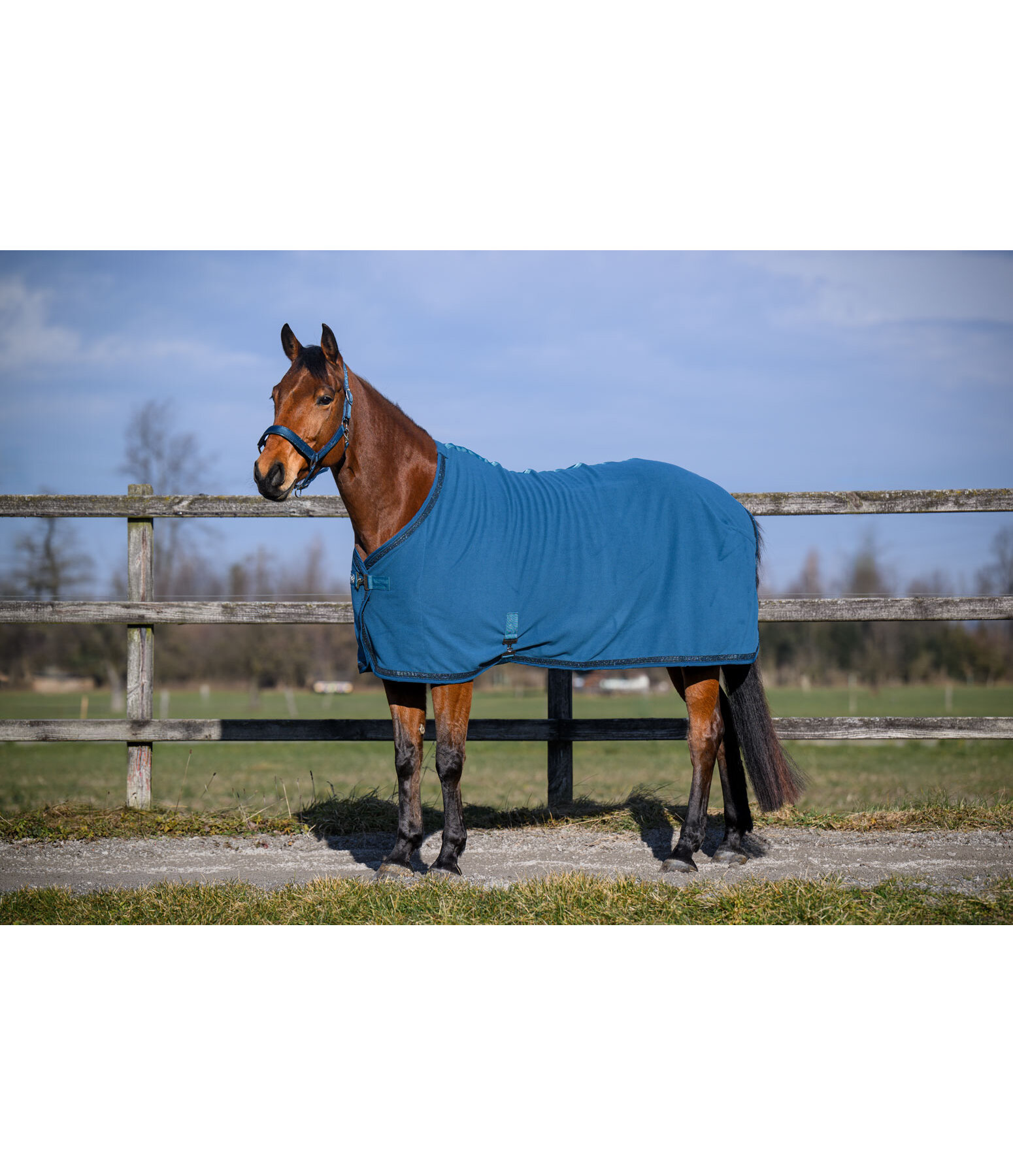 Kollektions-Abschwitzdecke Glitter