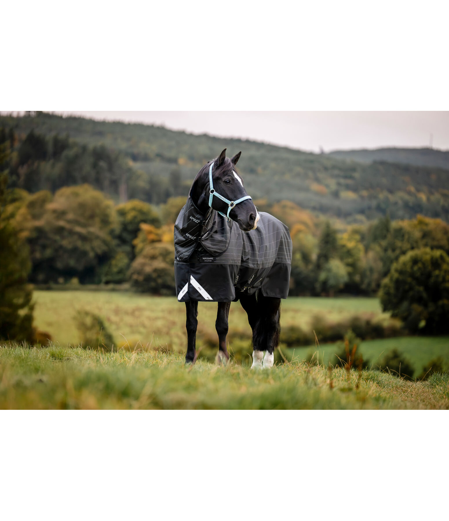 Amigo 1200D FieldSafe Reflectech Plus Turnout, 100 g