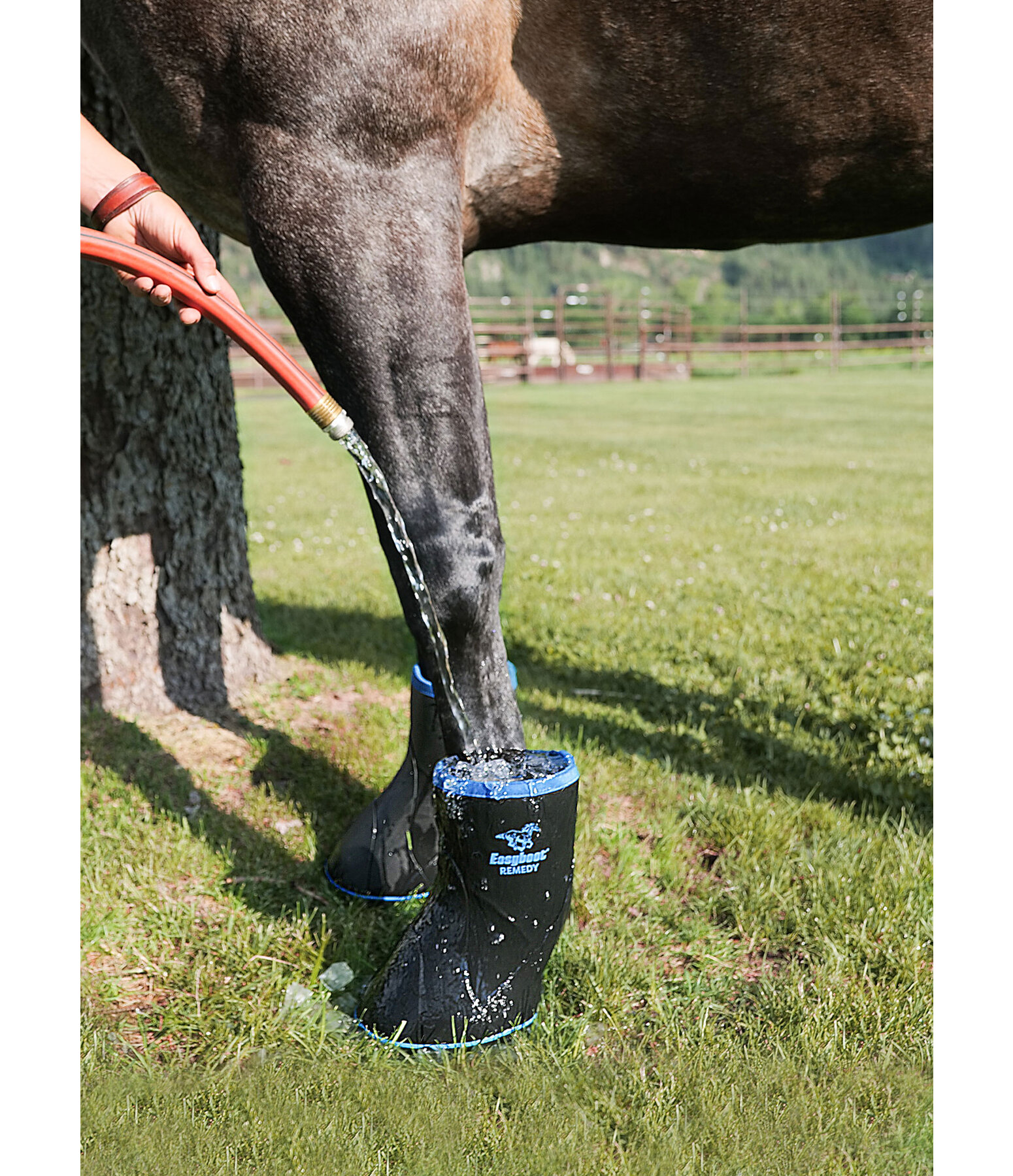 Easyboot Krankenhufschuh Remedy