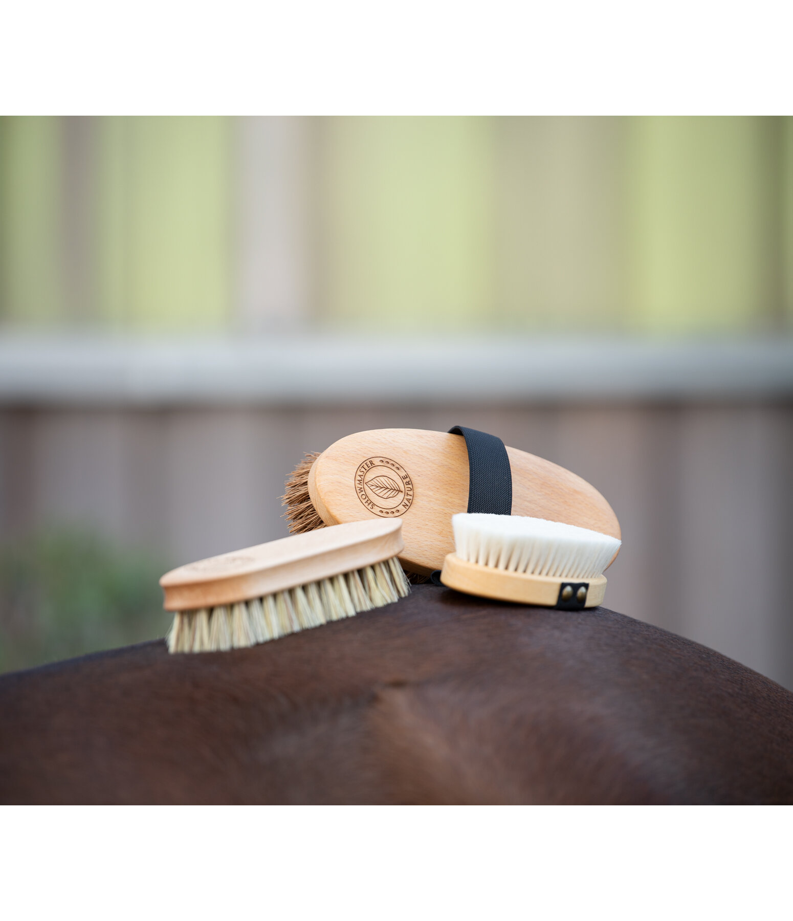 NATURE Kardtsche mit Kokosfaser