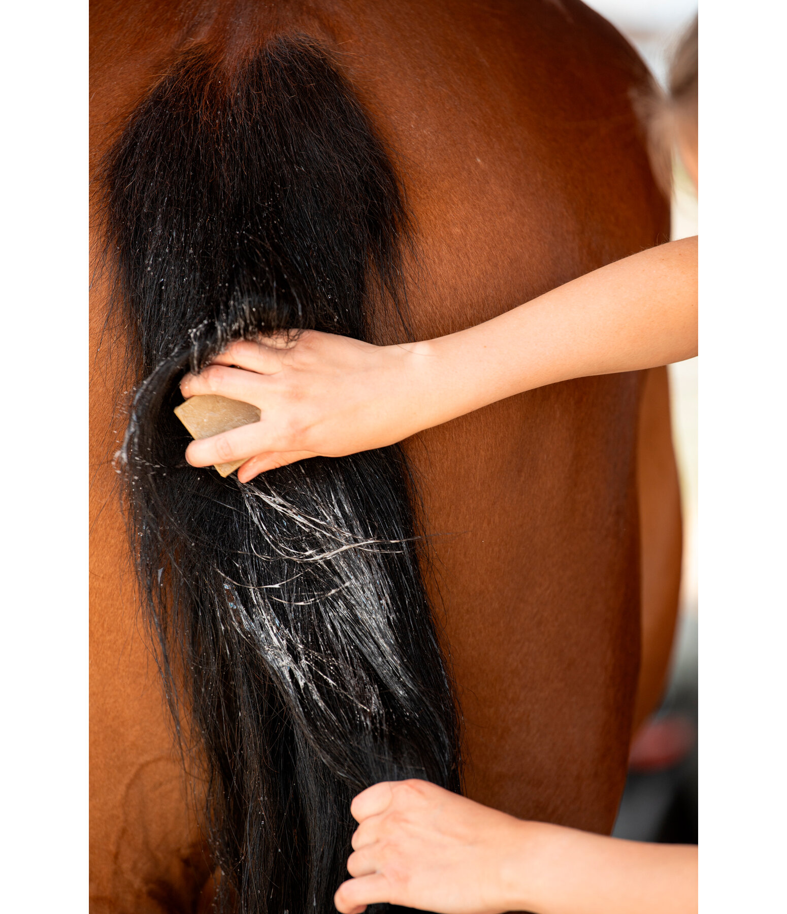 Naturkraft Pferdepflegeseife