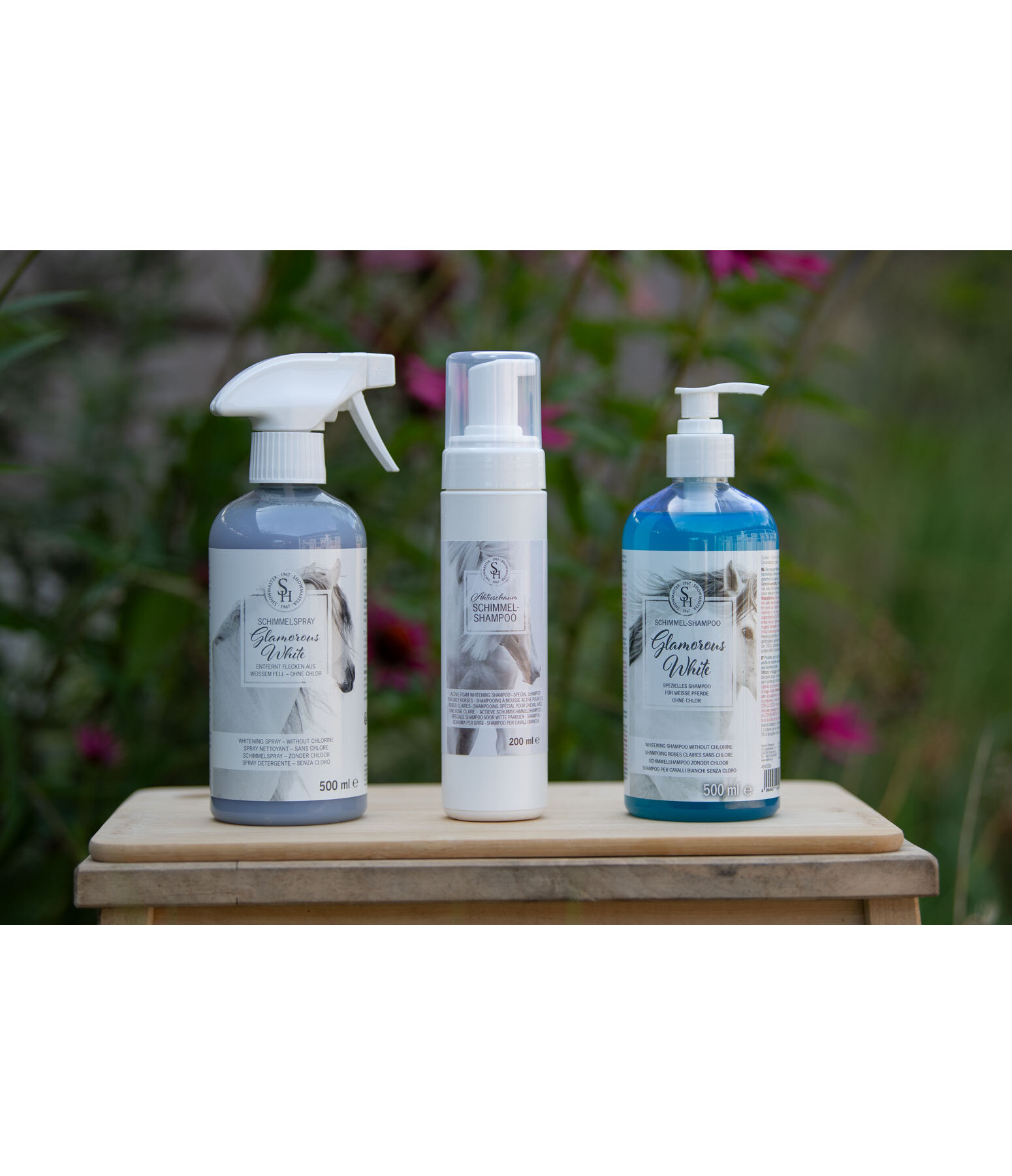 Aktivschaum Schimmelshampoo