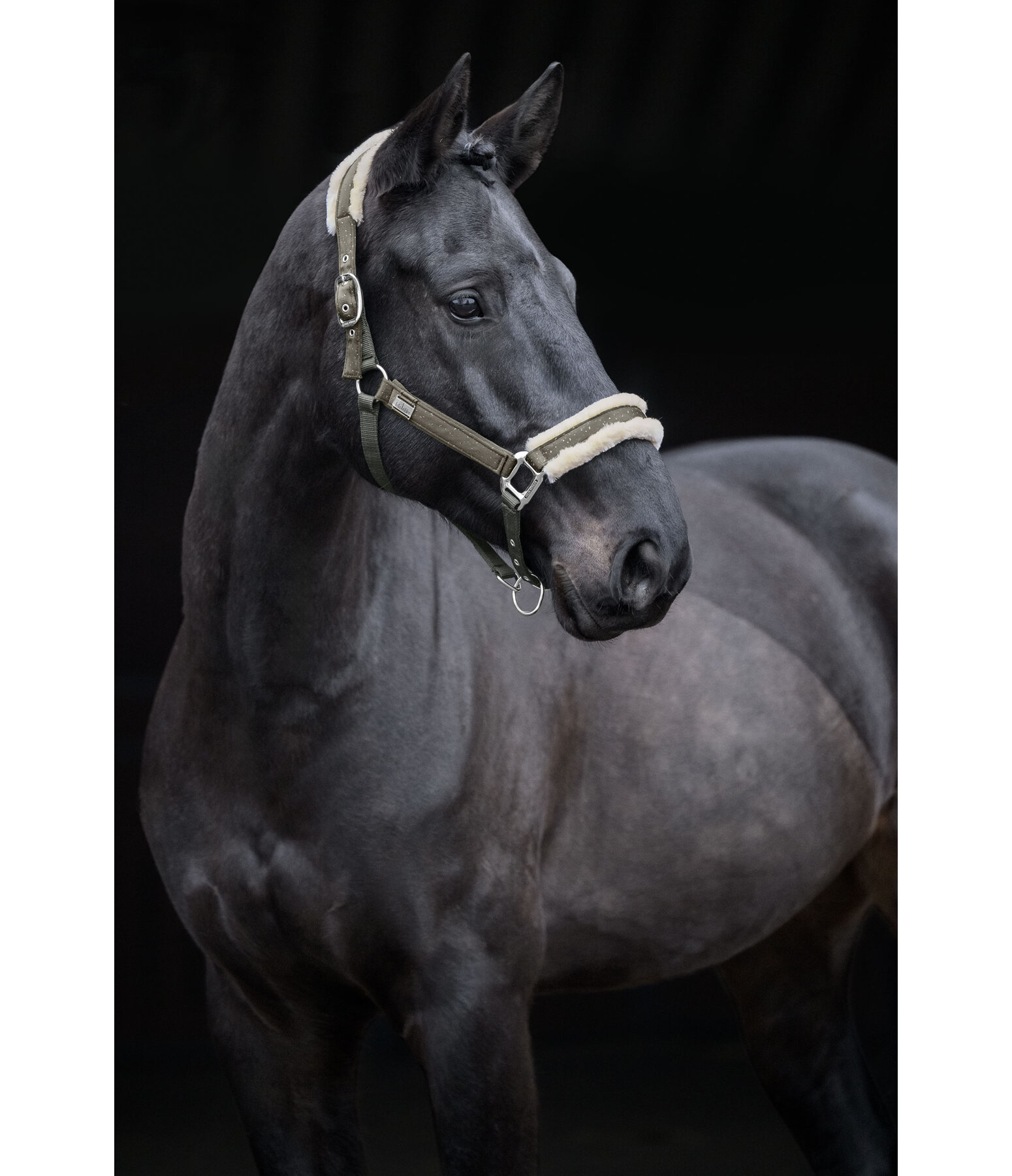 Halfter Sparkling II