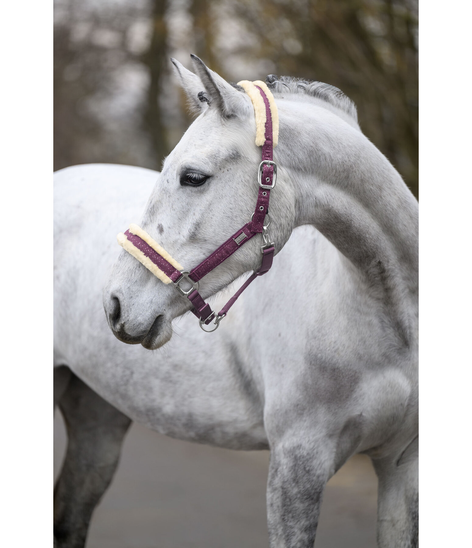 Halfter Sparkling II