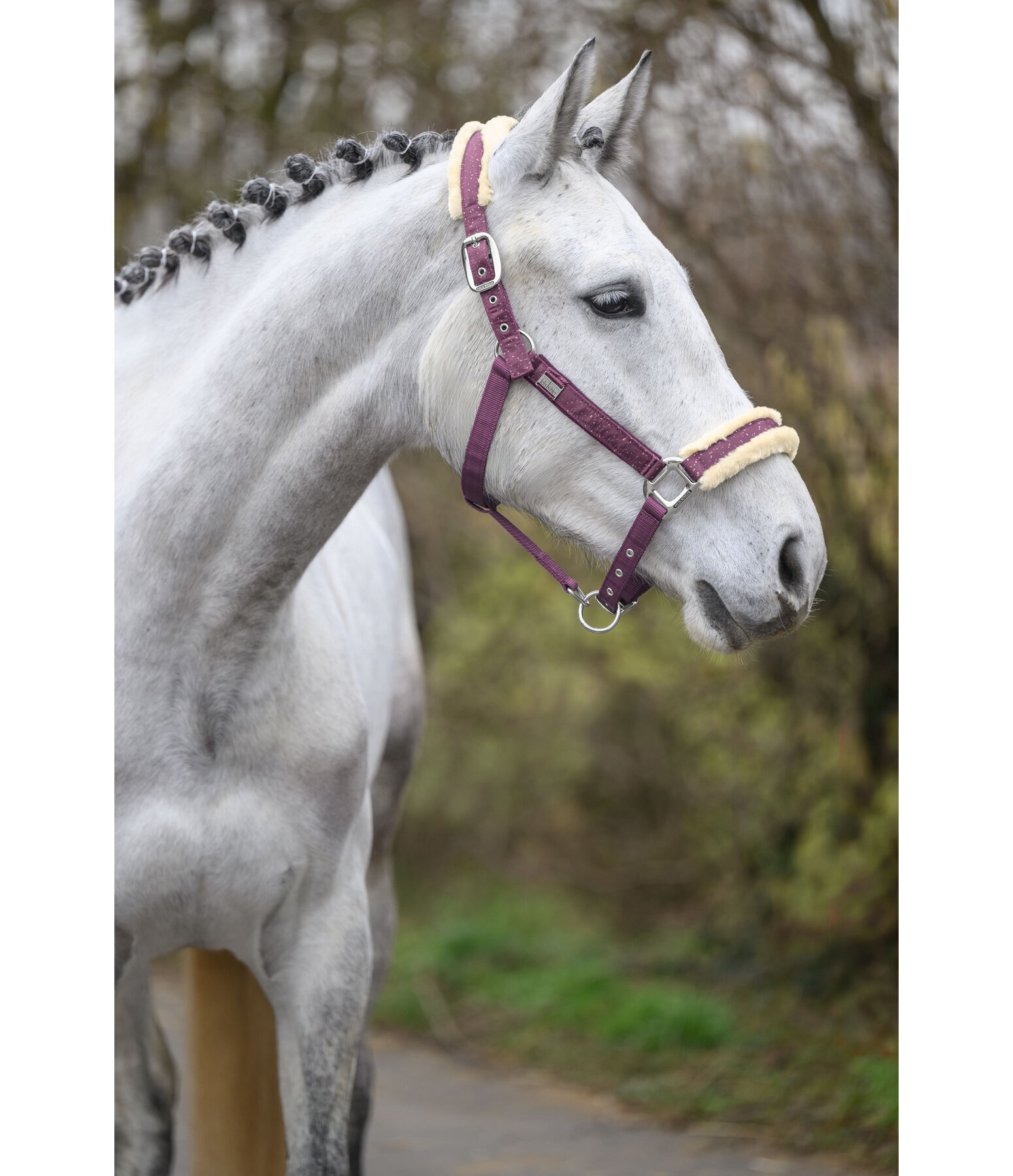 Halfter Sparkling II