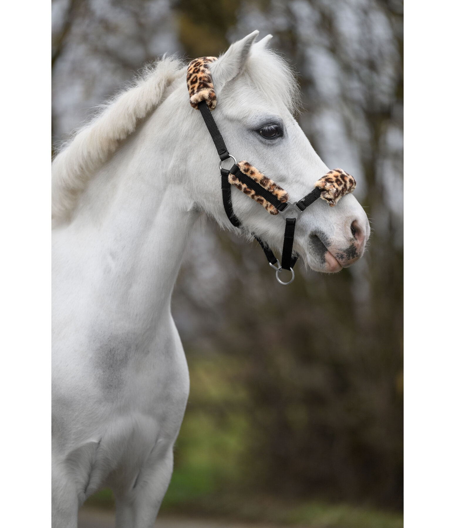 Fohlen- & Shetty-Teddyfleece-Halfter Cozy Adjustable