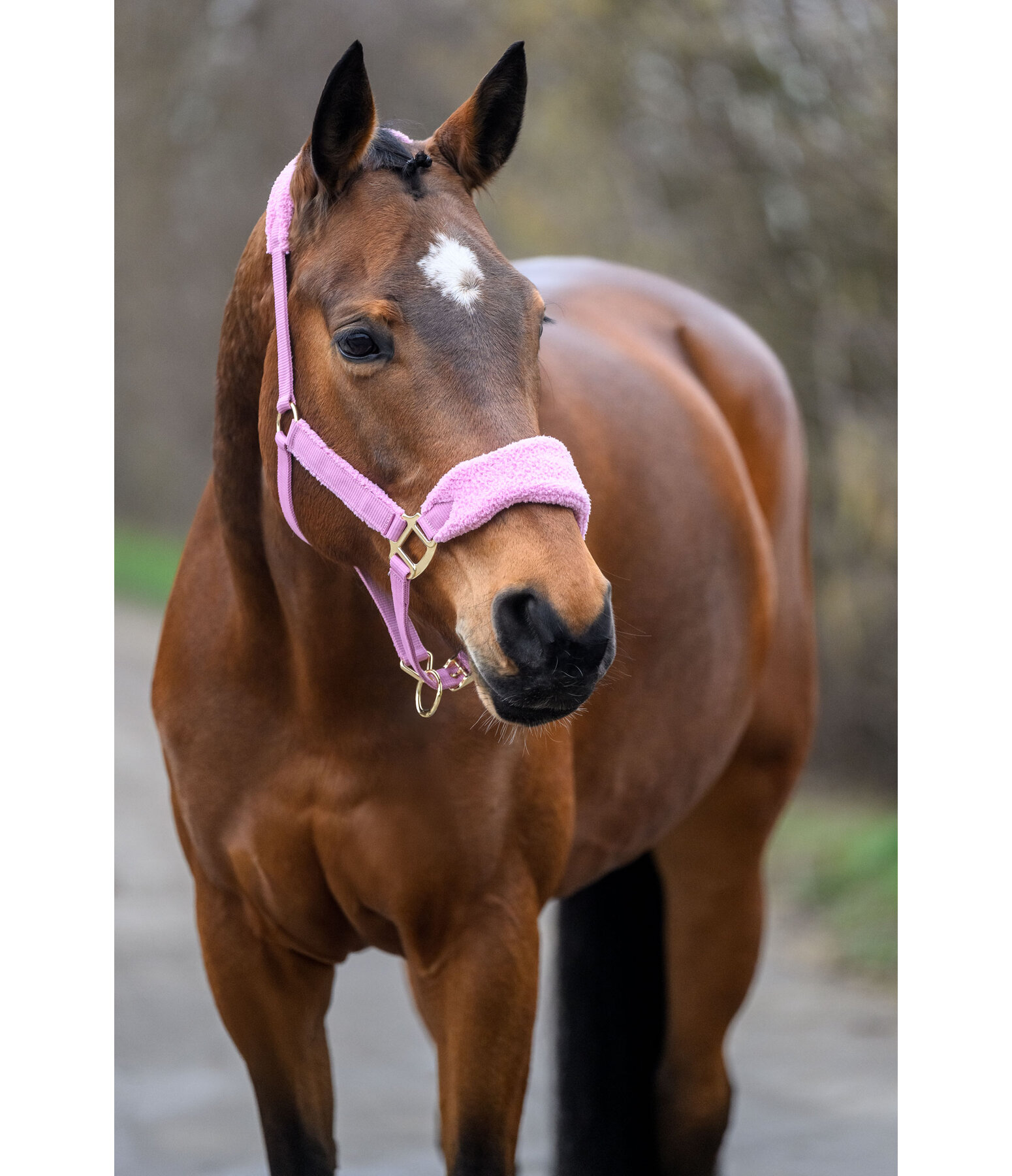 Teddyfleece-Halfter