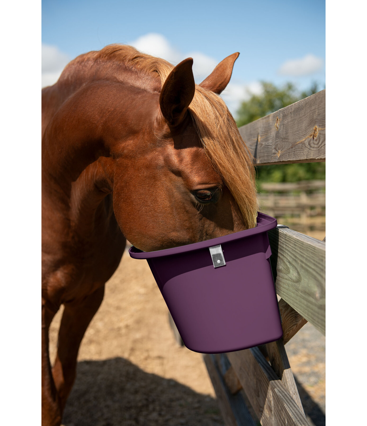 Futtereimer 12 Liter