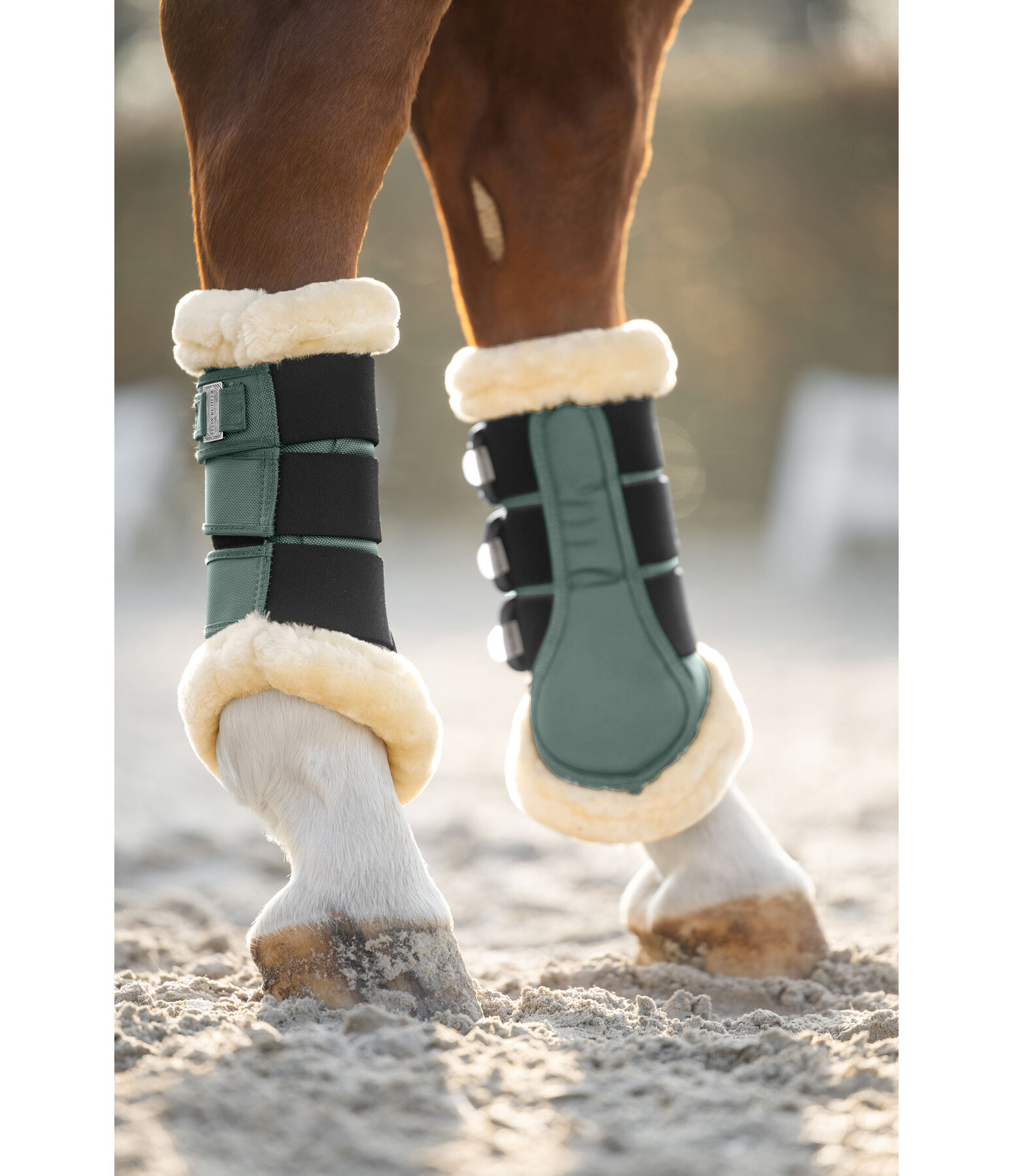 Teddyfleece-Dressurgamaschen Essential, Hinterbeine