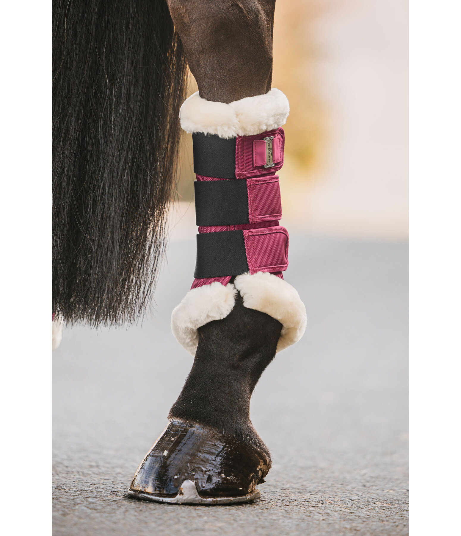 Teddyfleece-Dressurgamaschen Essential, Hinterbeine