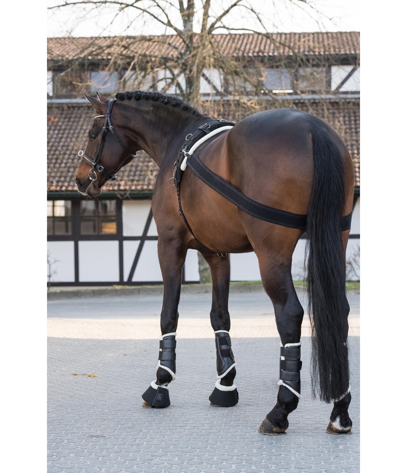 Elastisches Körperband SHOWMASTER Longieren &amp; Bodenarbeit Krämer