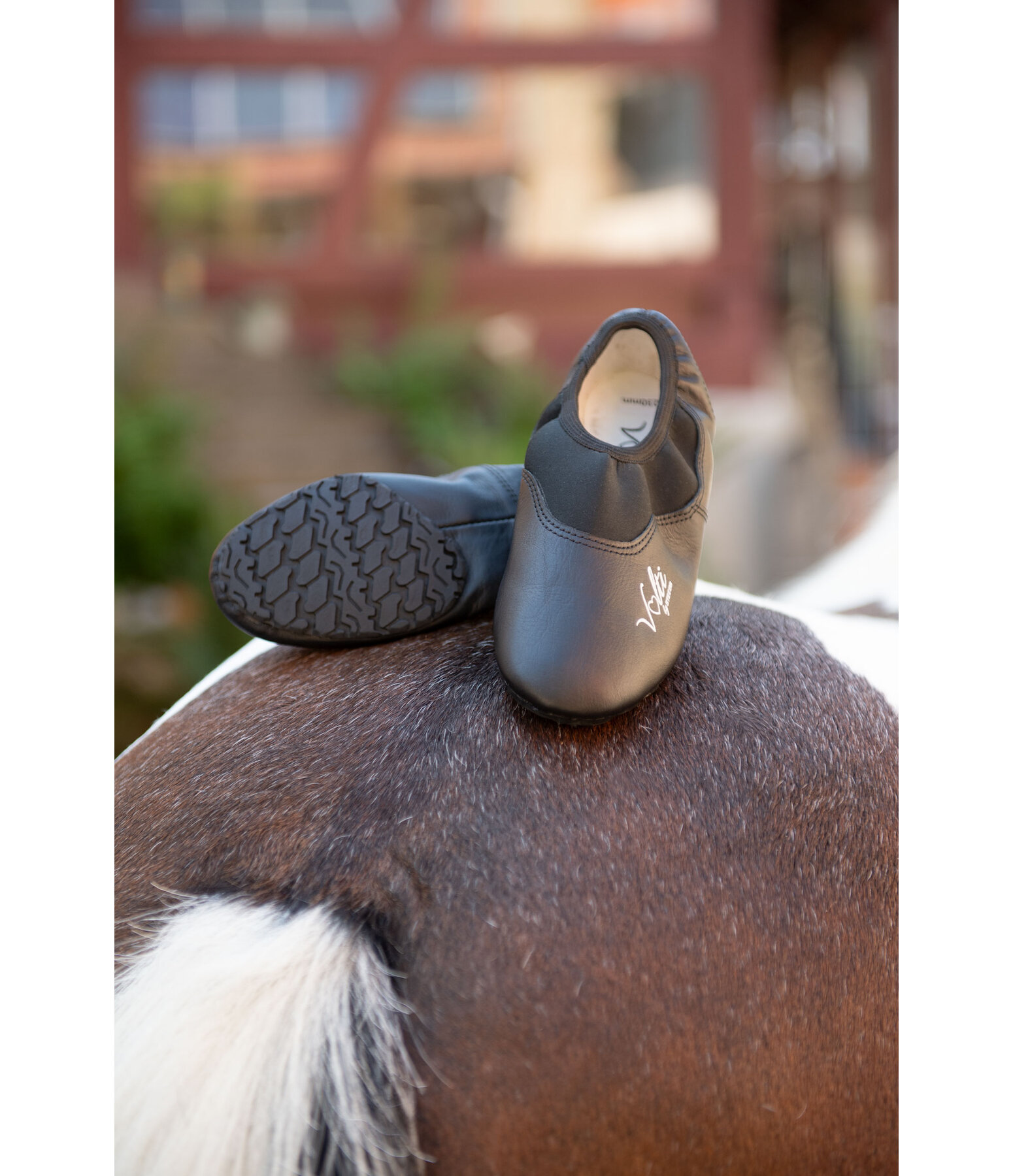 Voltigierschuh Expert