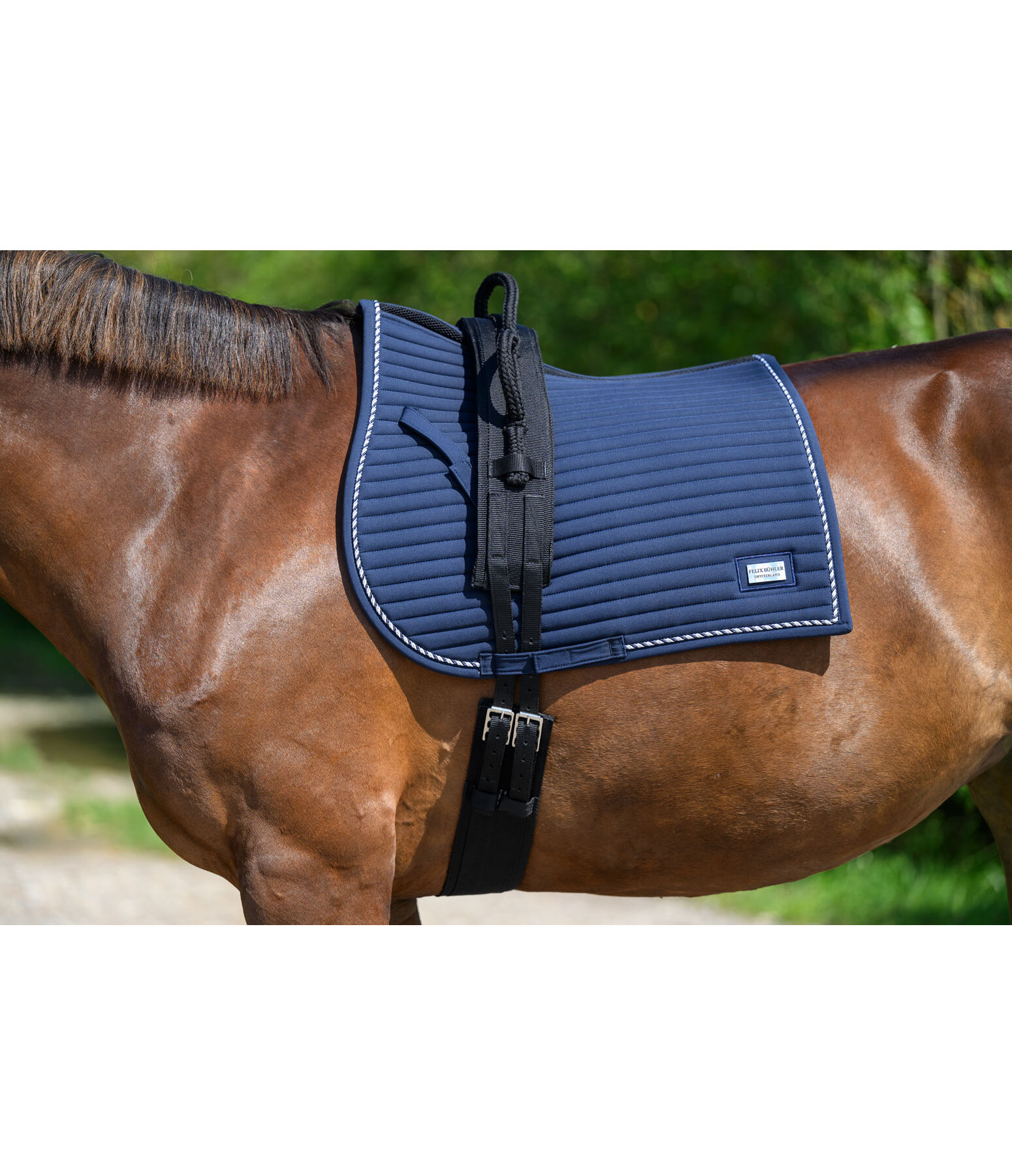 Reitgurt mit Haltegriffen