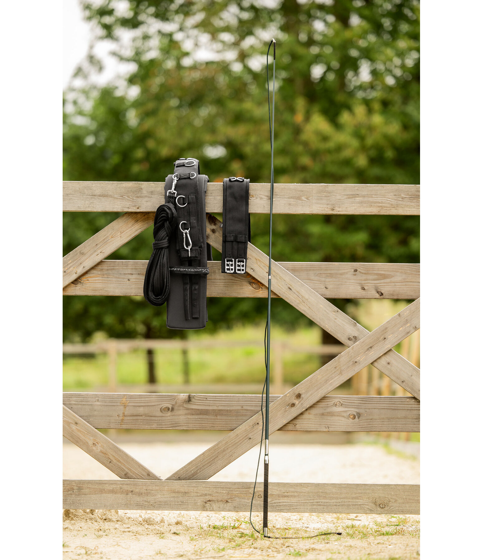 Teleskop-Longierpeitsche Ultralight