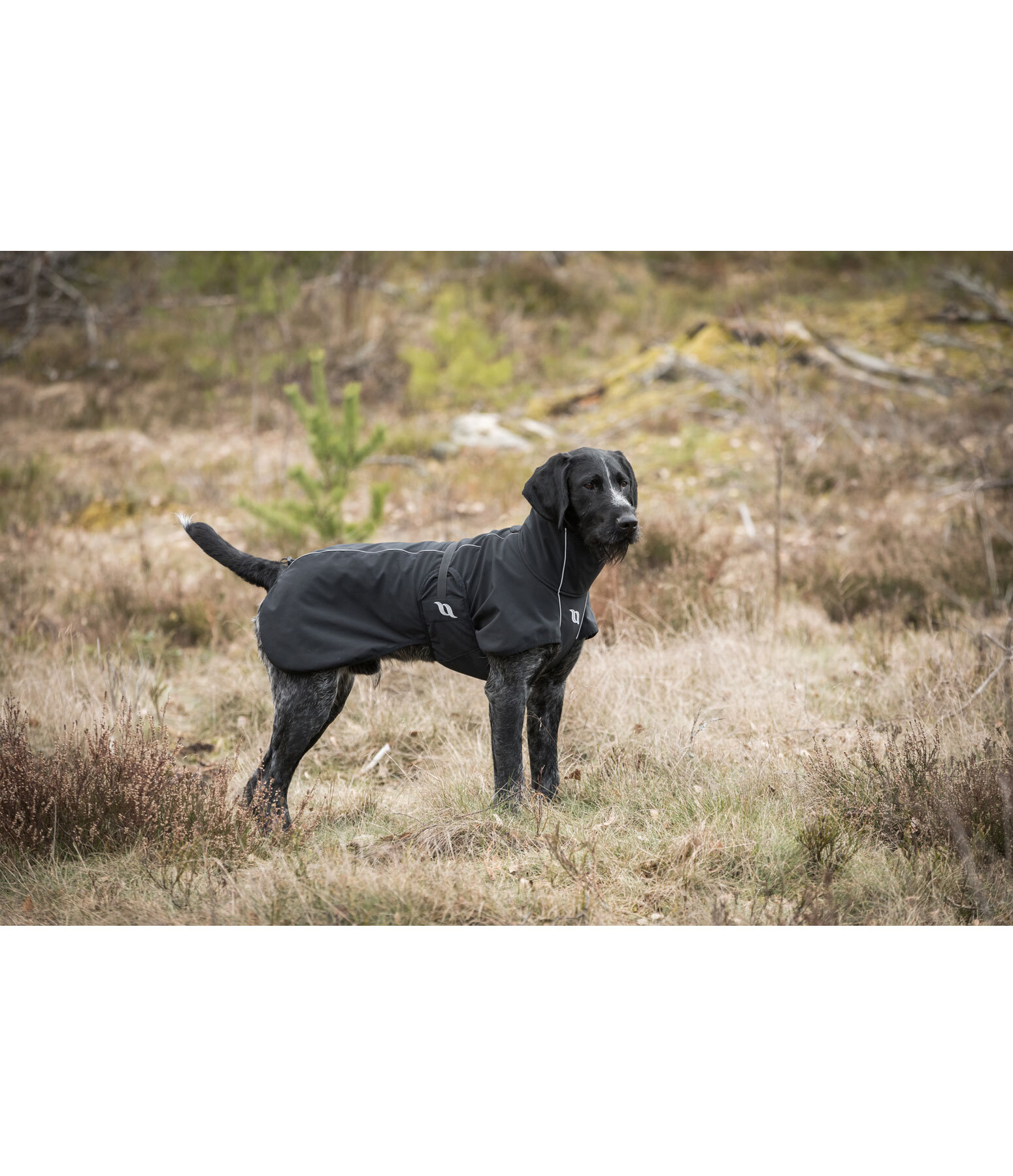 All-Round Softshell-Hundemantel Bark, 0 g