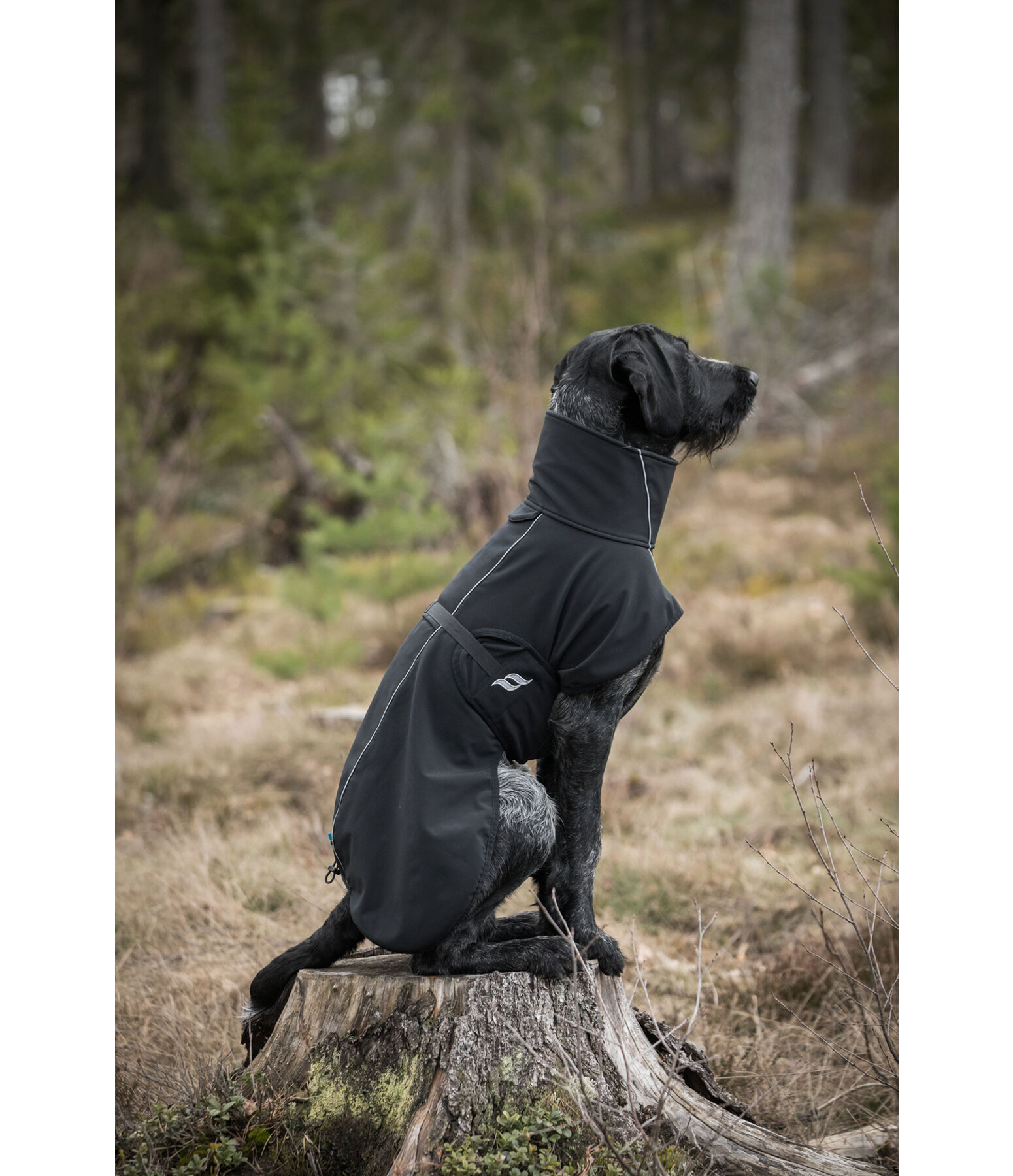 All-Round Softshell-Hundemantel Bark, 0 g