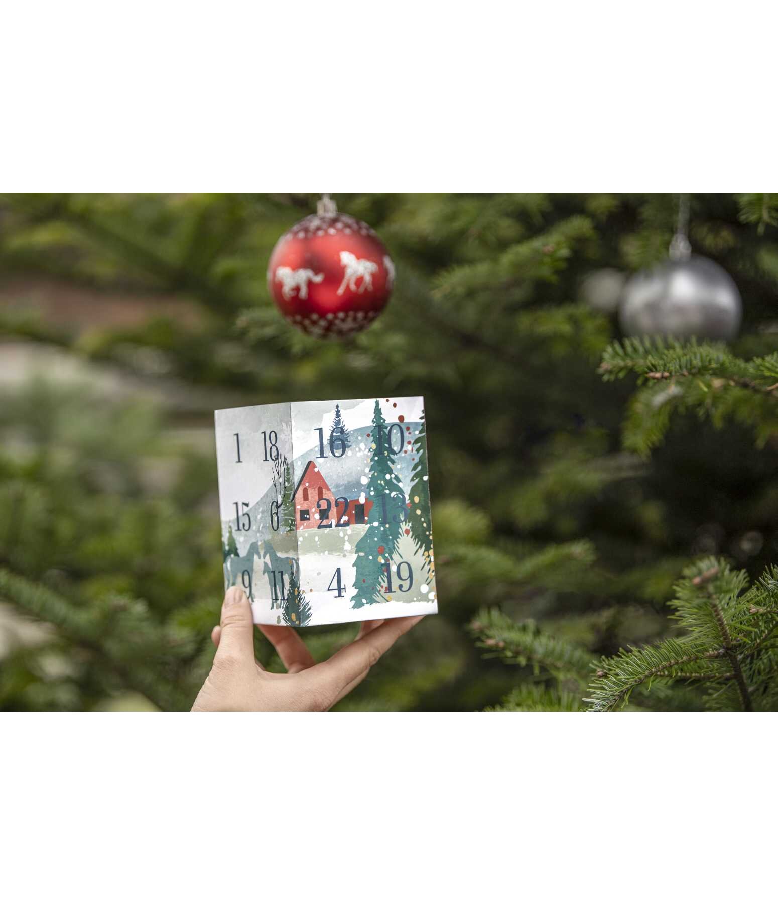 Adventskalender mit 10.- Gutschein oder hher