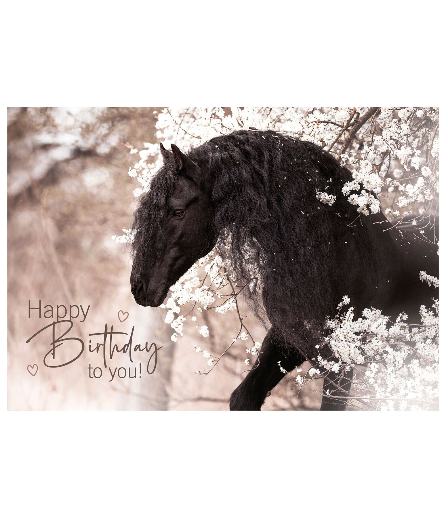 Grukarte Happy Birhday I