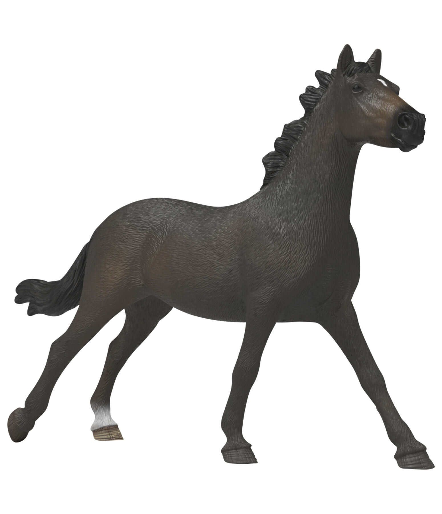 Englische Vollblut Stute