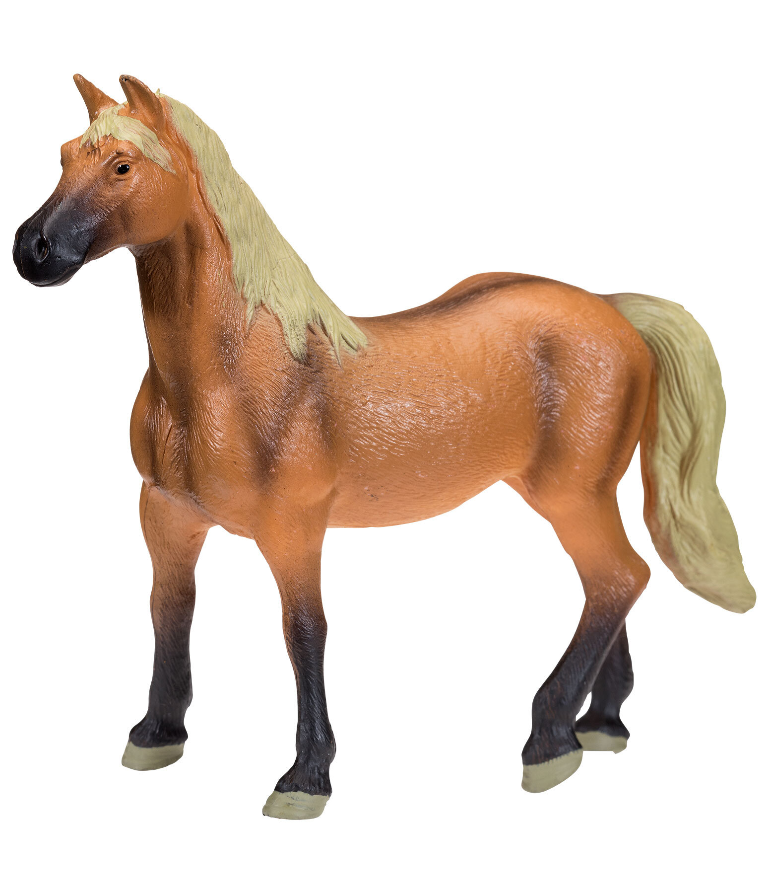 Play series Belgische Warmblut