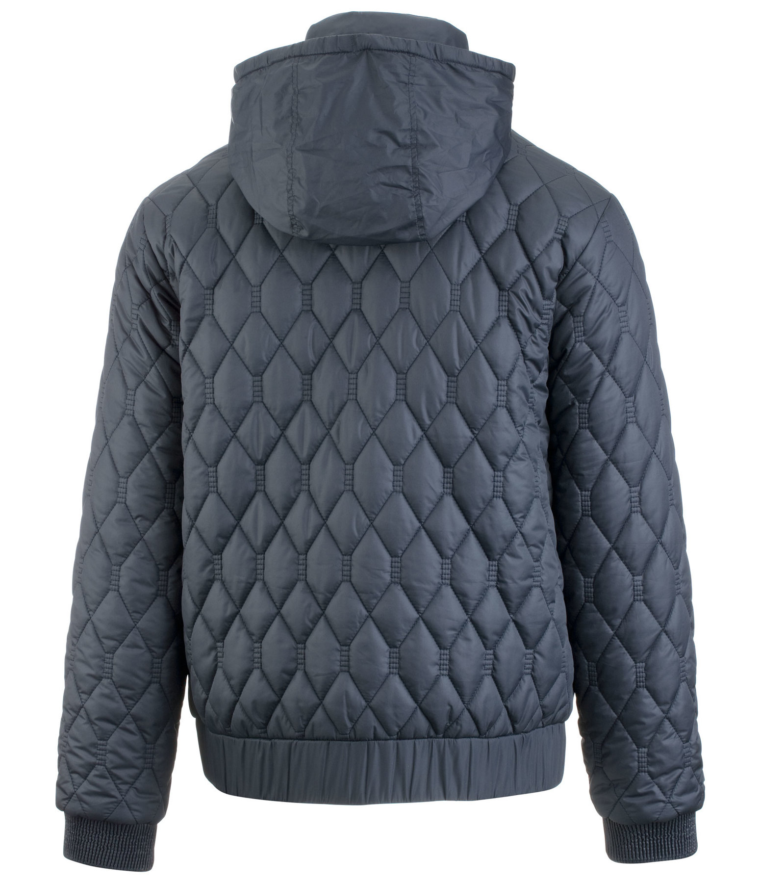 Herren Steppjacke William