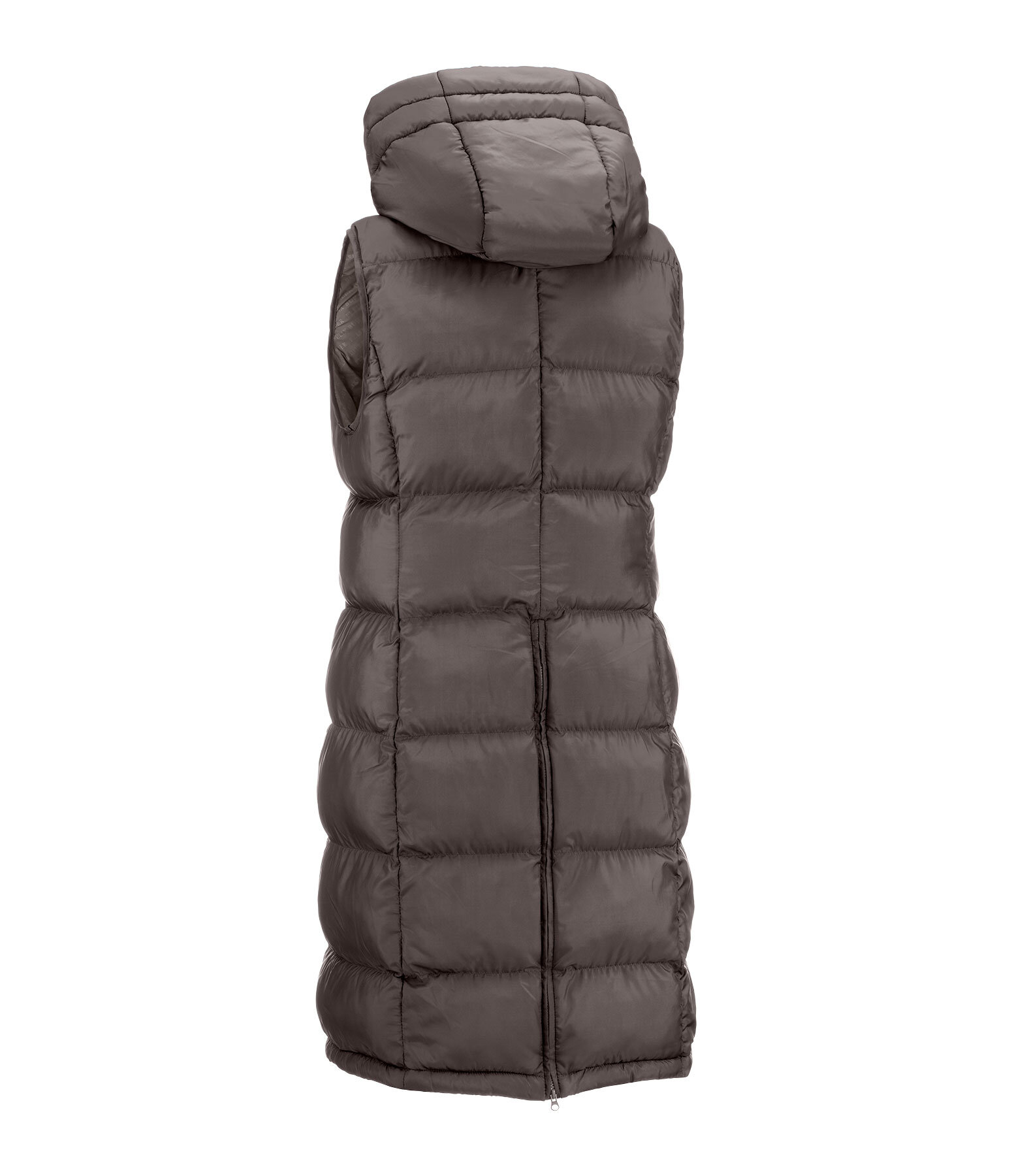 Kapuzen-Langweste Clara