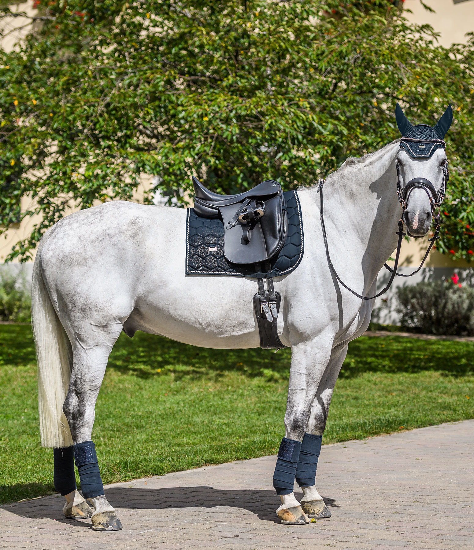 felix bühler gamaschen sparkling