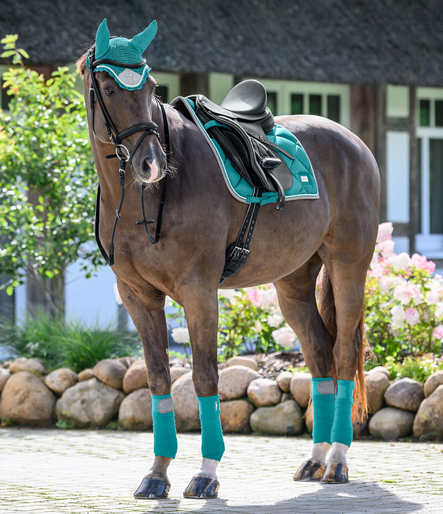 Favourites From Felix Bühler | Equestrian Trend