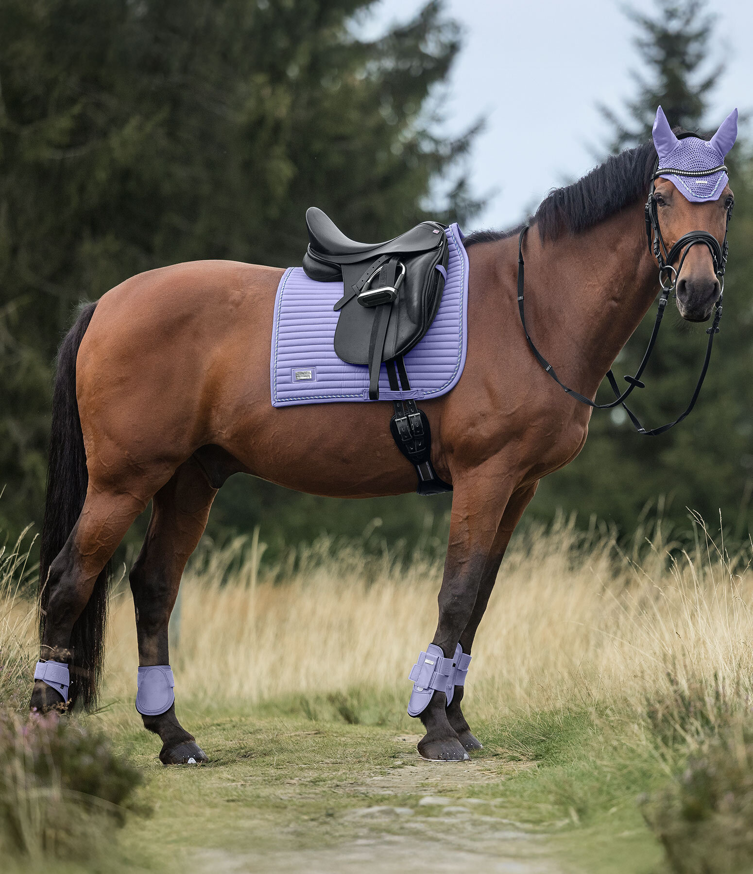 Outfit Sophistication Regular in lilac