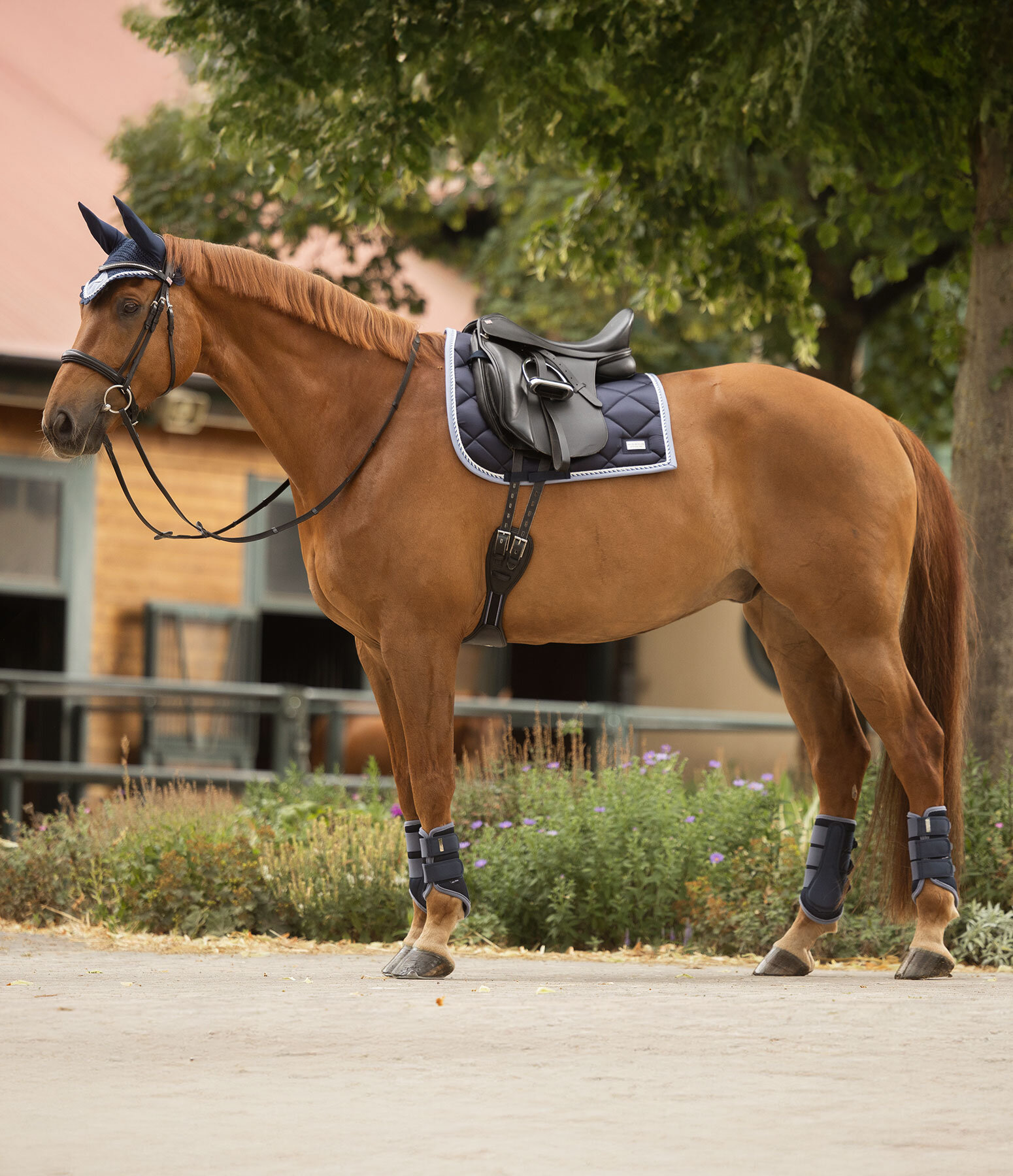 Outfit Swiss Design in navy-classic