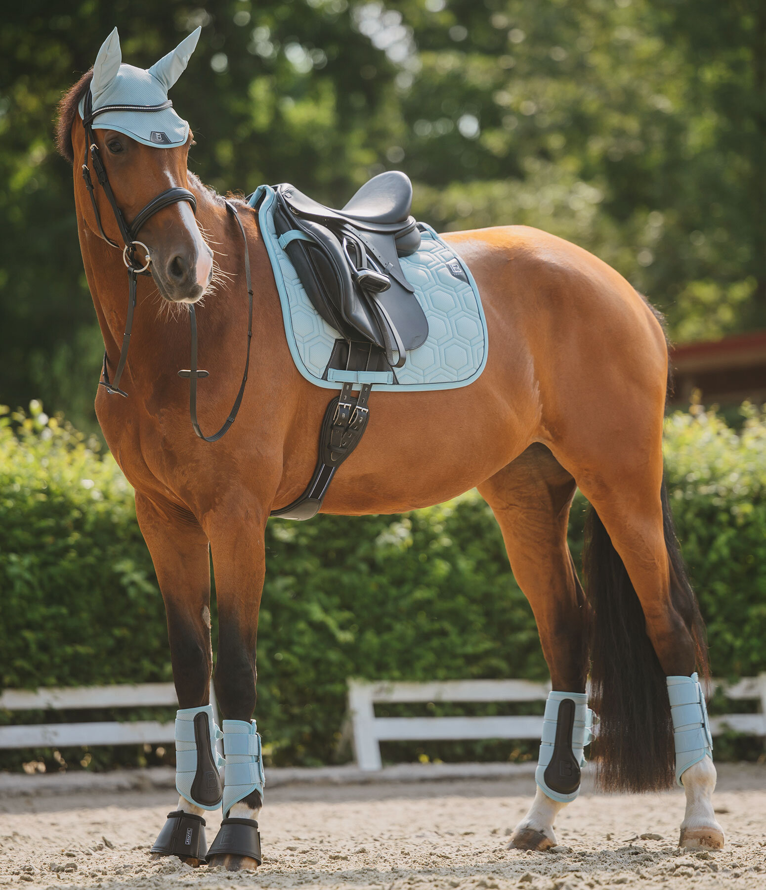 Outfit Mesh Technolgy in light-mint