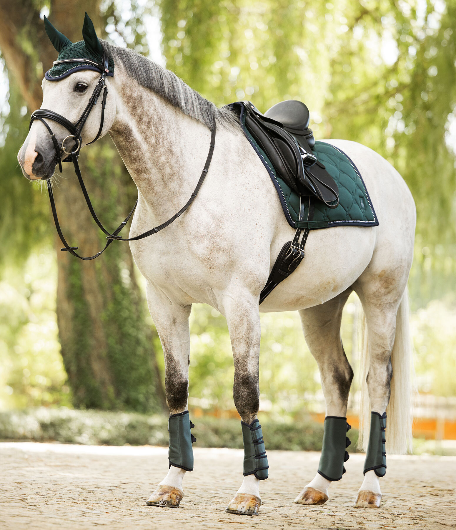 Outfit Twotone & Crystal in green-tea