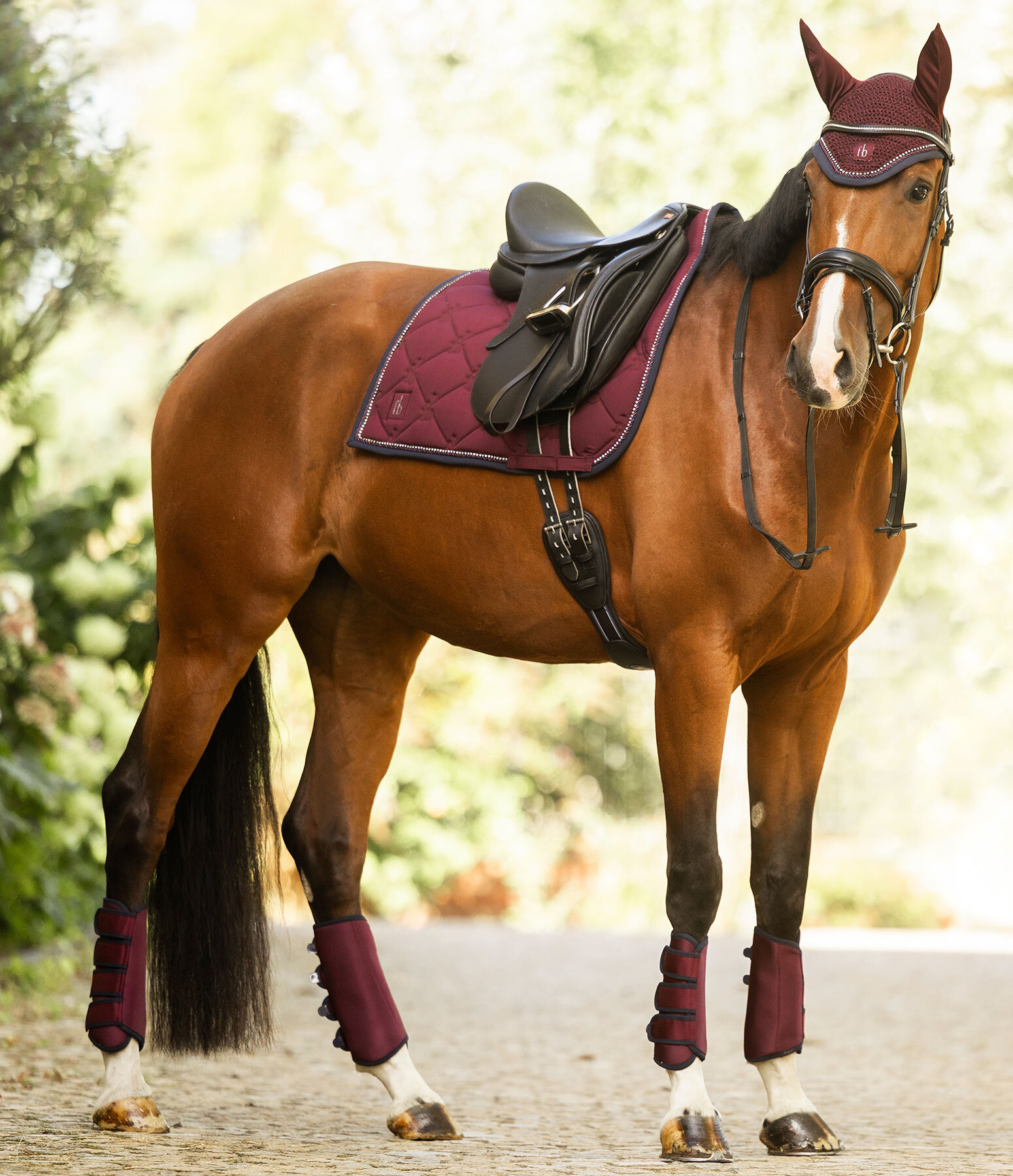 Outfit  Twotone & Crystal in mahagoni