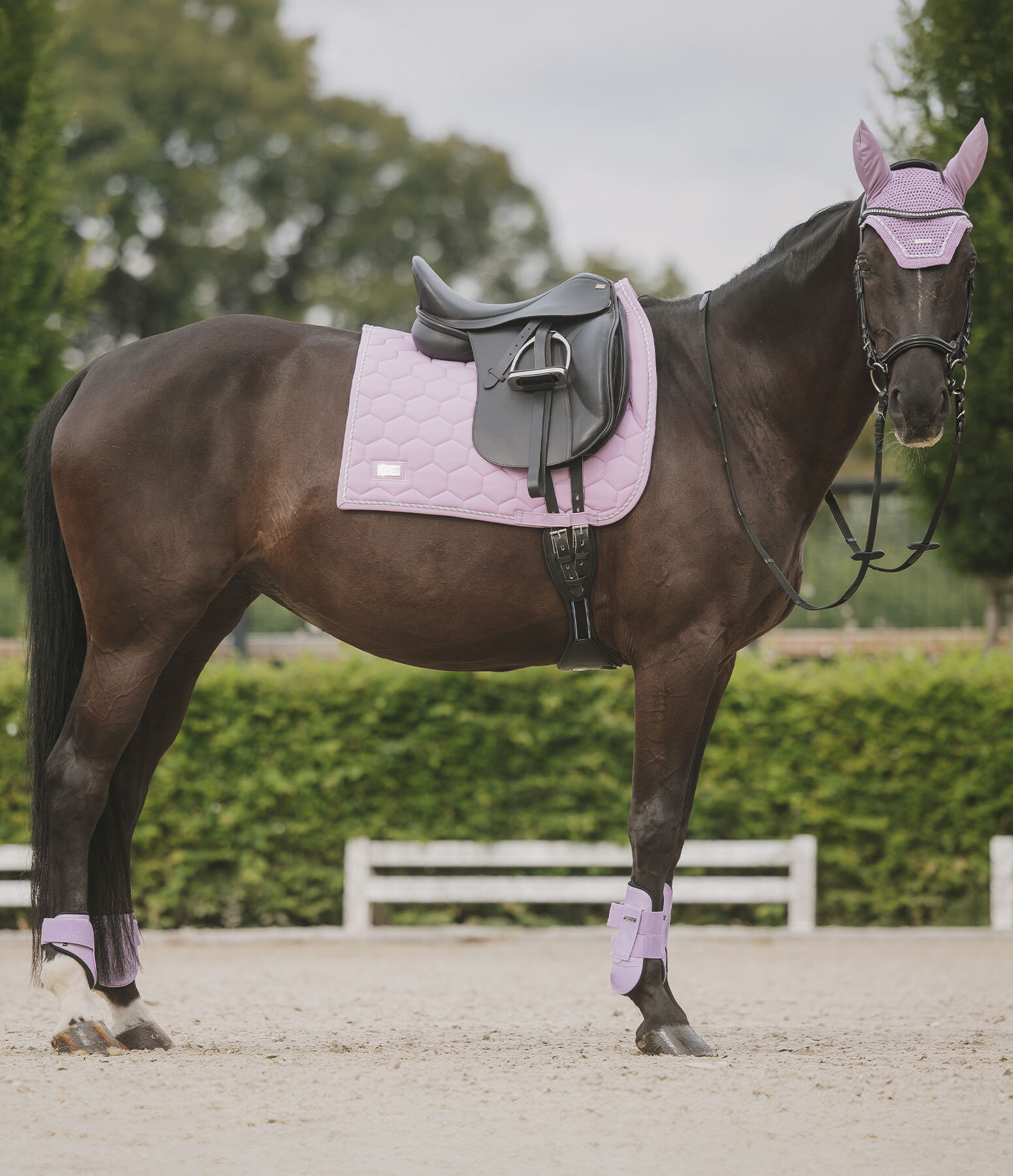 Outfit Sophistication in krokus