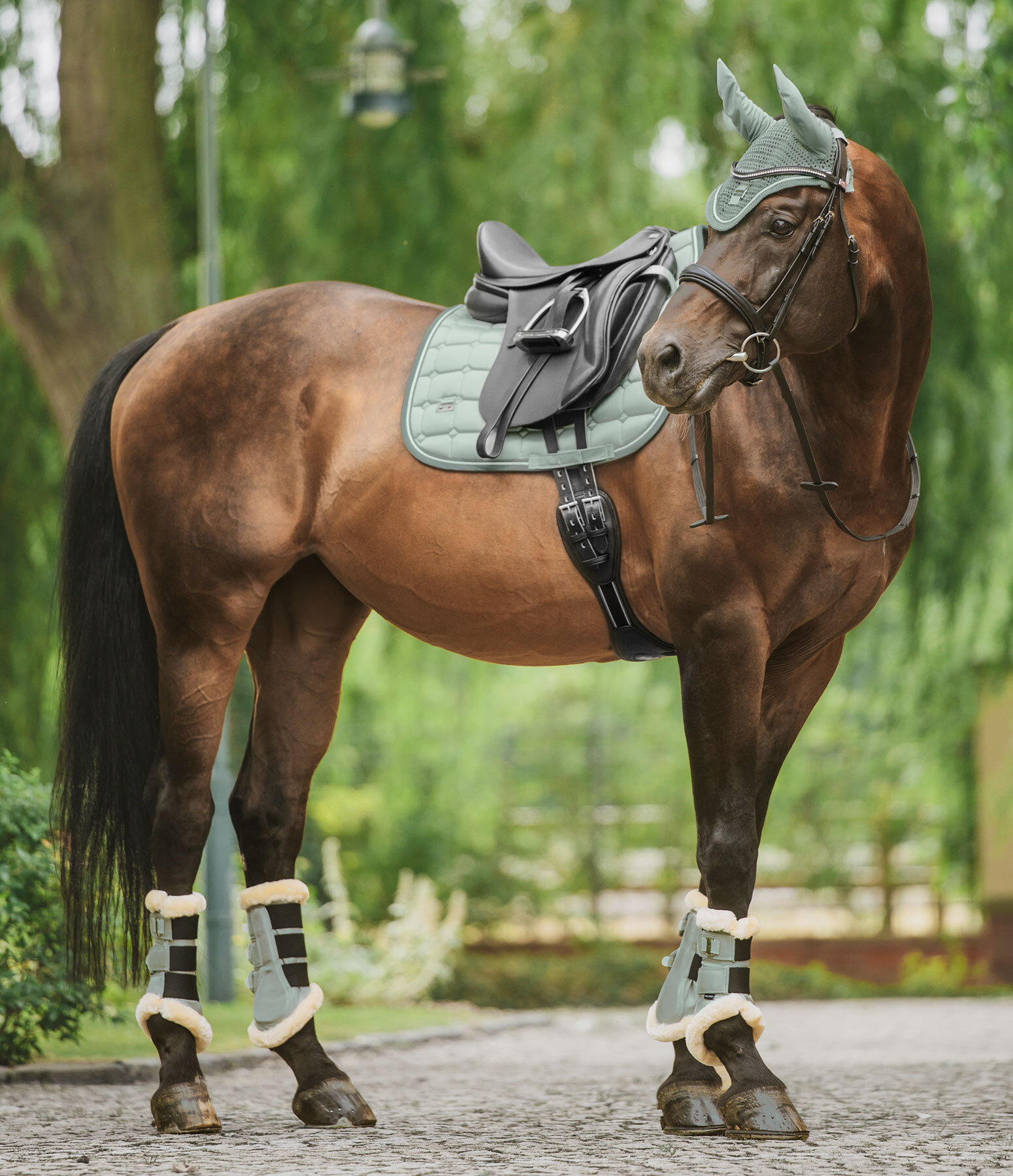 Outfit Essential in eucalyptus