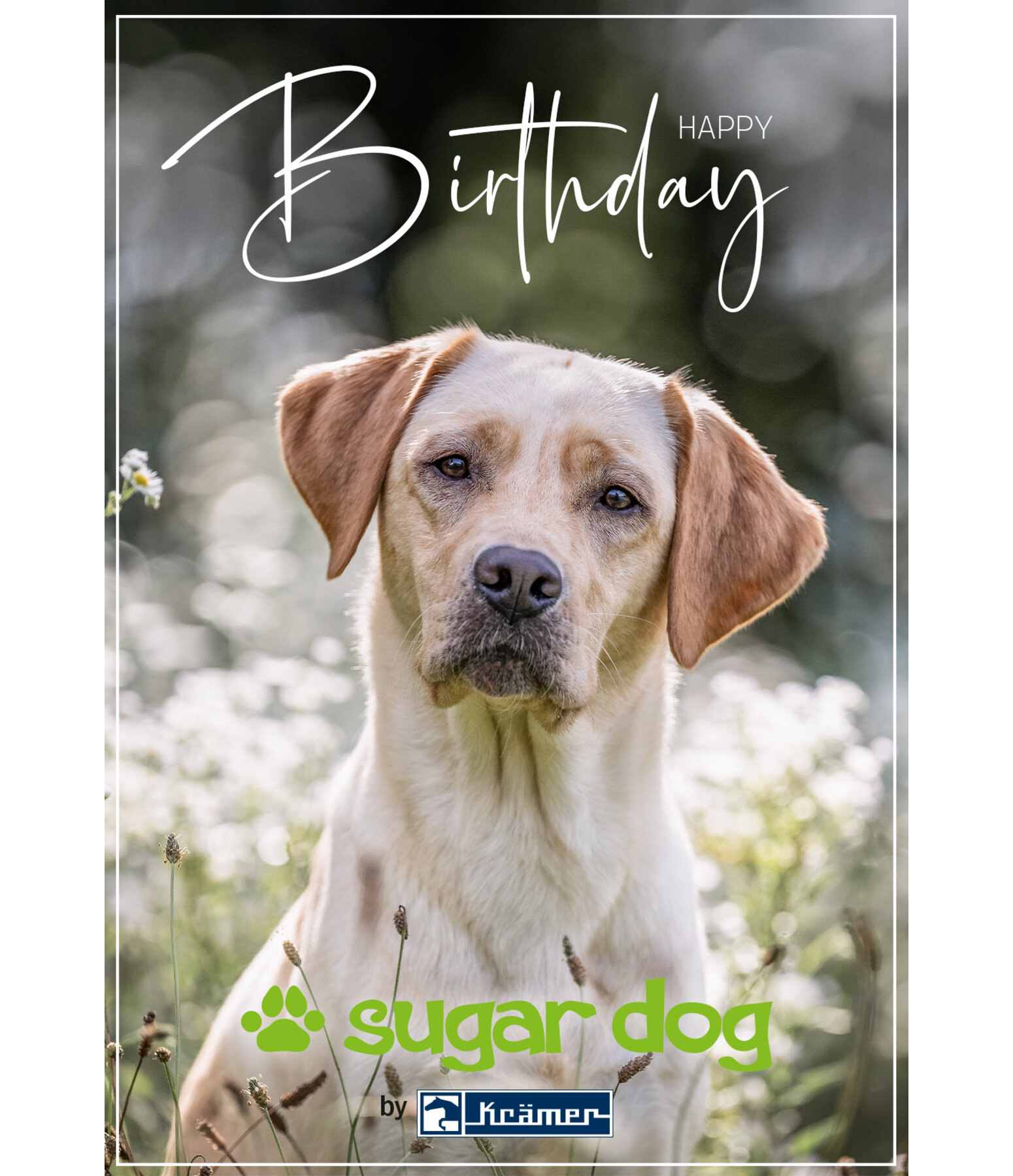 Geschenkgutschein zum Ausdrucken