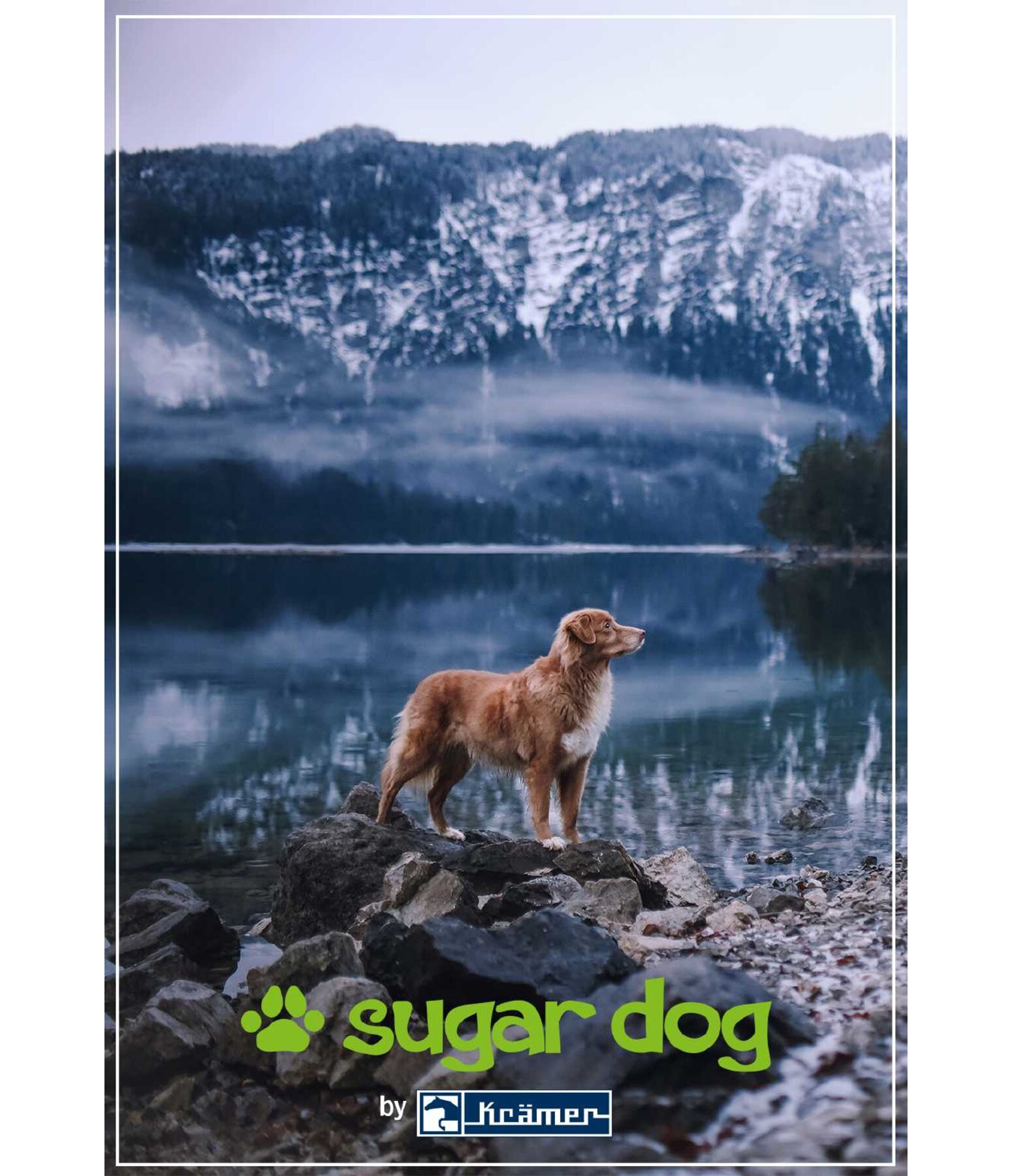 Geschenkgutschein zum Ausdrucken