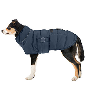 sugar dog LED-Hunde-Steppjacke Arlo, 300 g - 231203