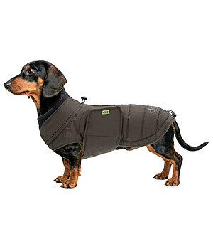 sugar dog Dackel Wintermantel Henry, 200 g - 231311-S-DO