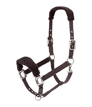 Felix B�hler Teddy Halfter - 310082-F-ES