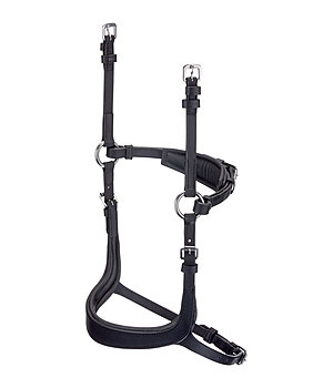 CLARIDGE HOUSE Mix & Match Ge�ltes Leder-Reithalfter Revolution - 320849-C-SS