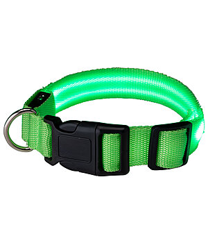 STEEDS LED-Hundehalsband Loom - 340991-M-G