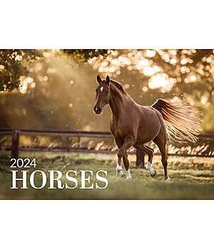Equino Media Horses Kalender 2024 - 390002